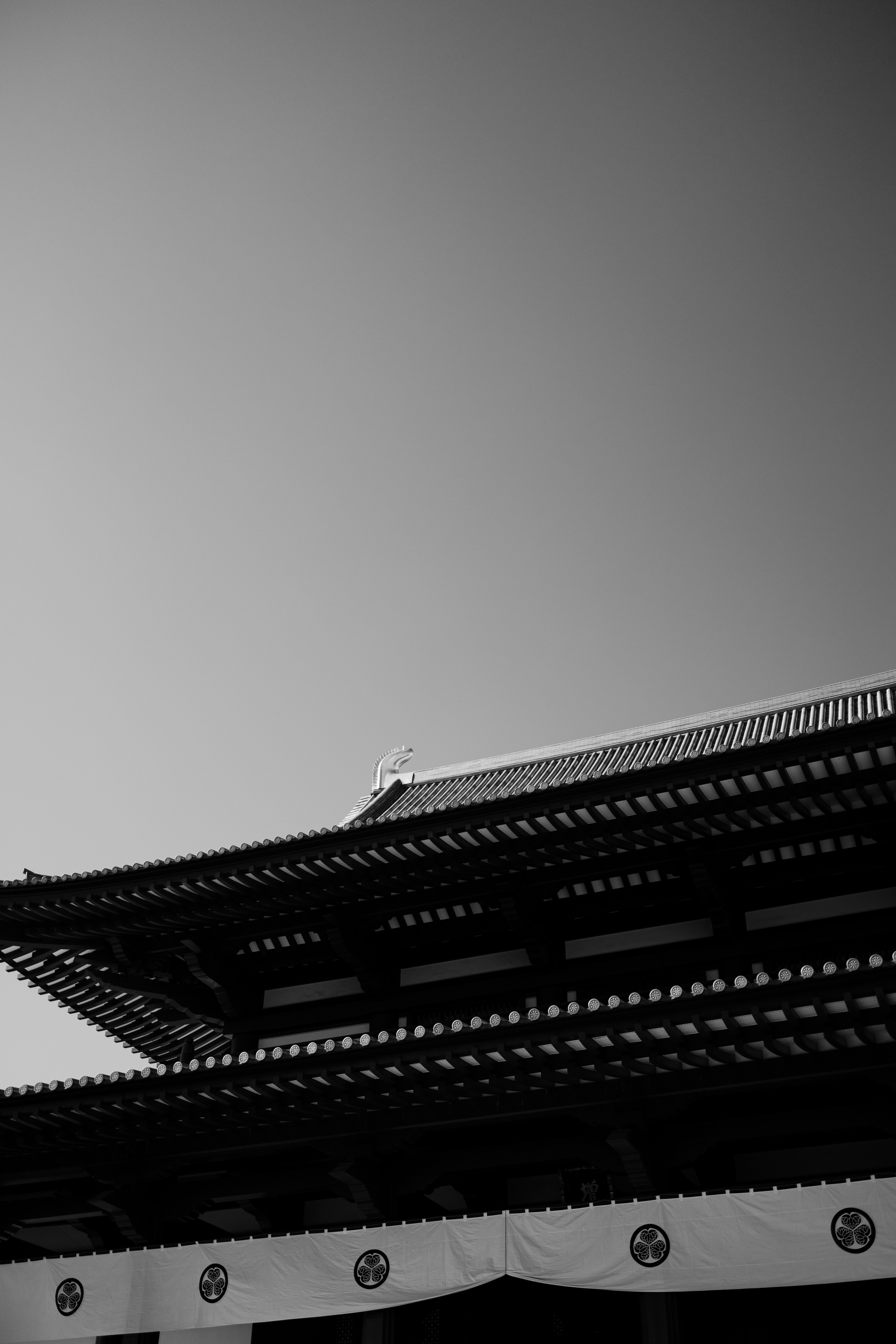 Photo by cindybartillon