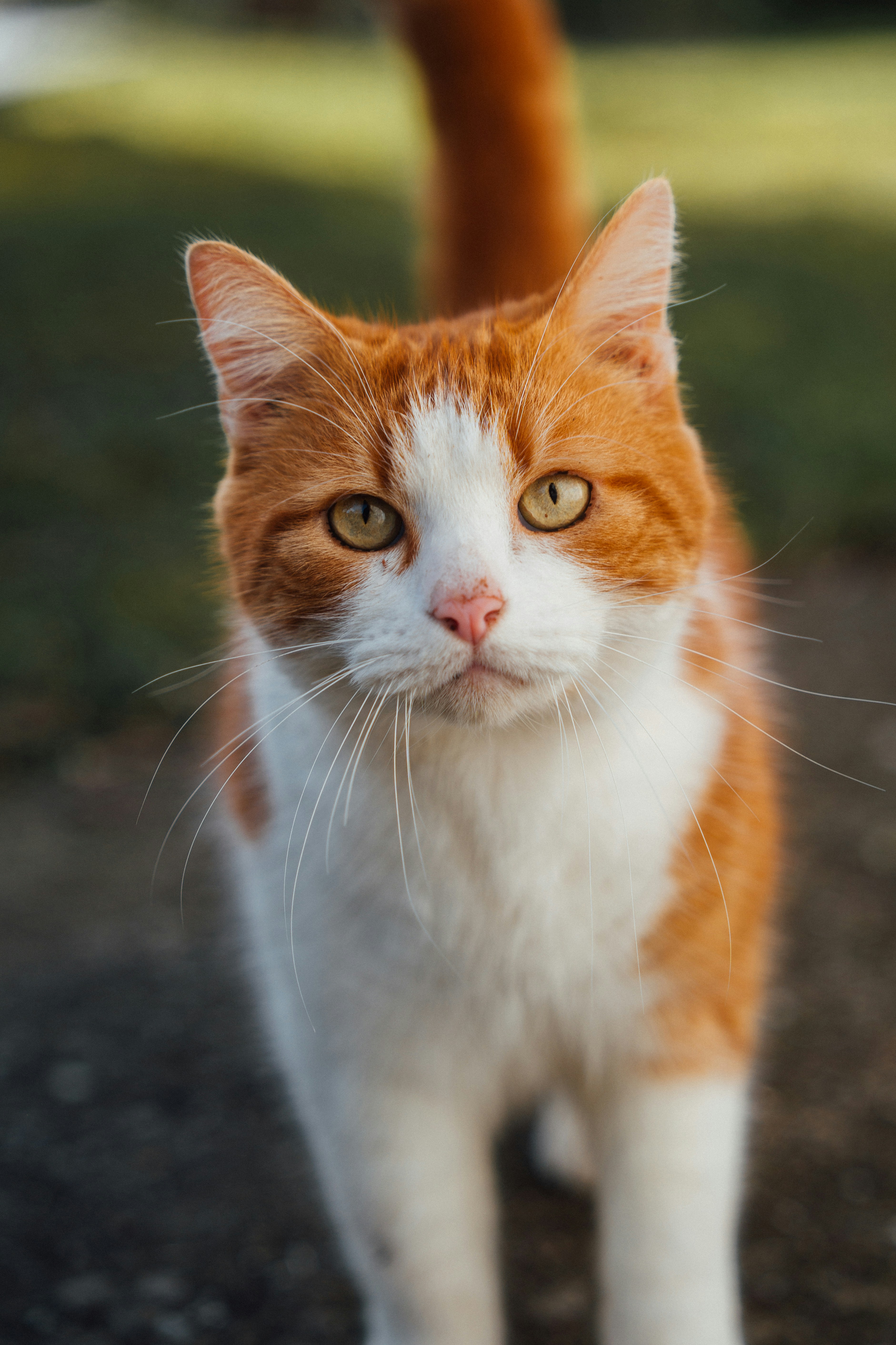 Photo by andreacaramello