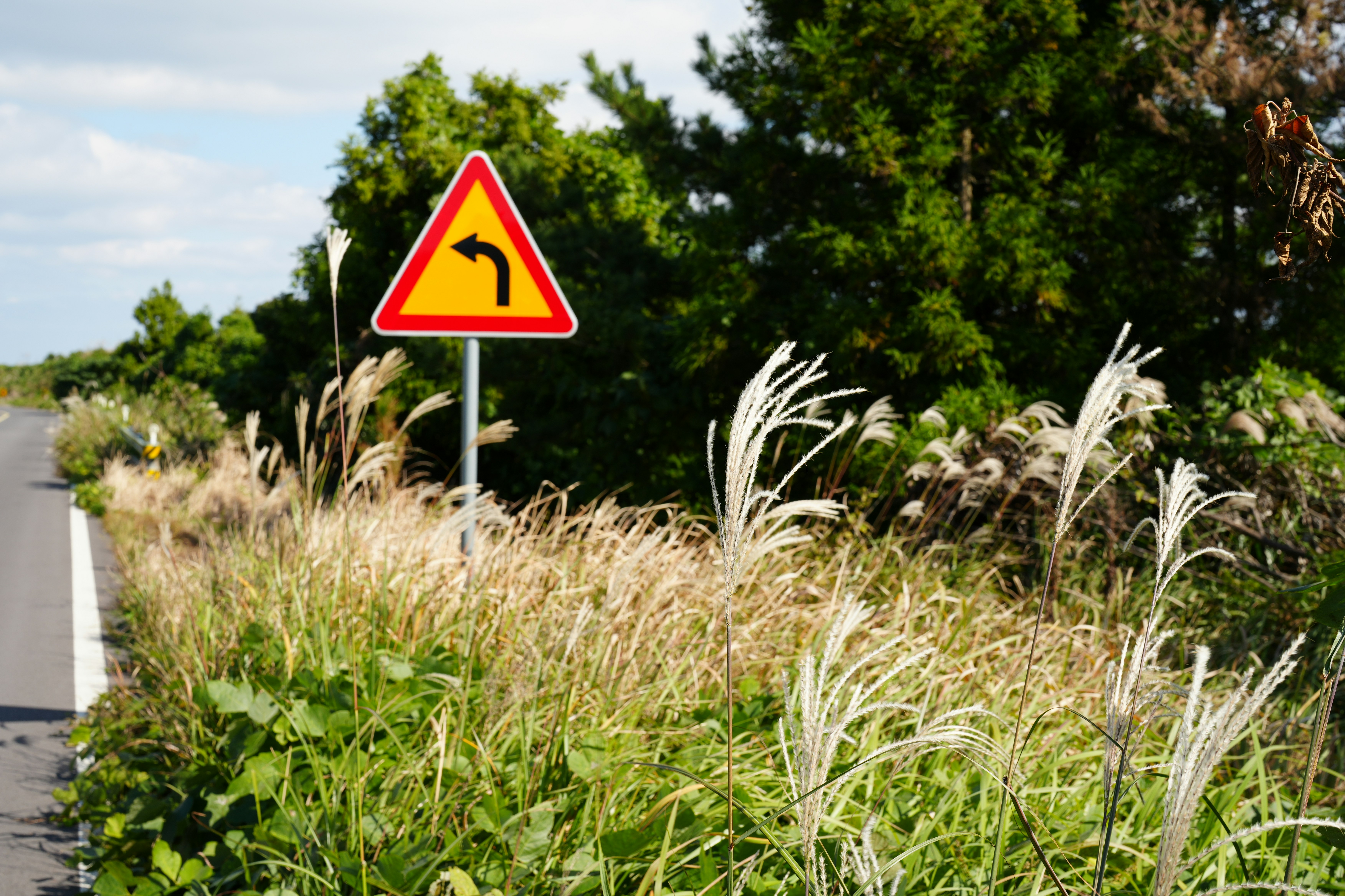 Photo by happylemon2ix