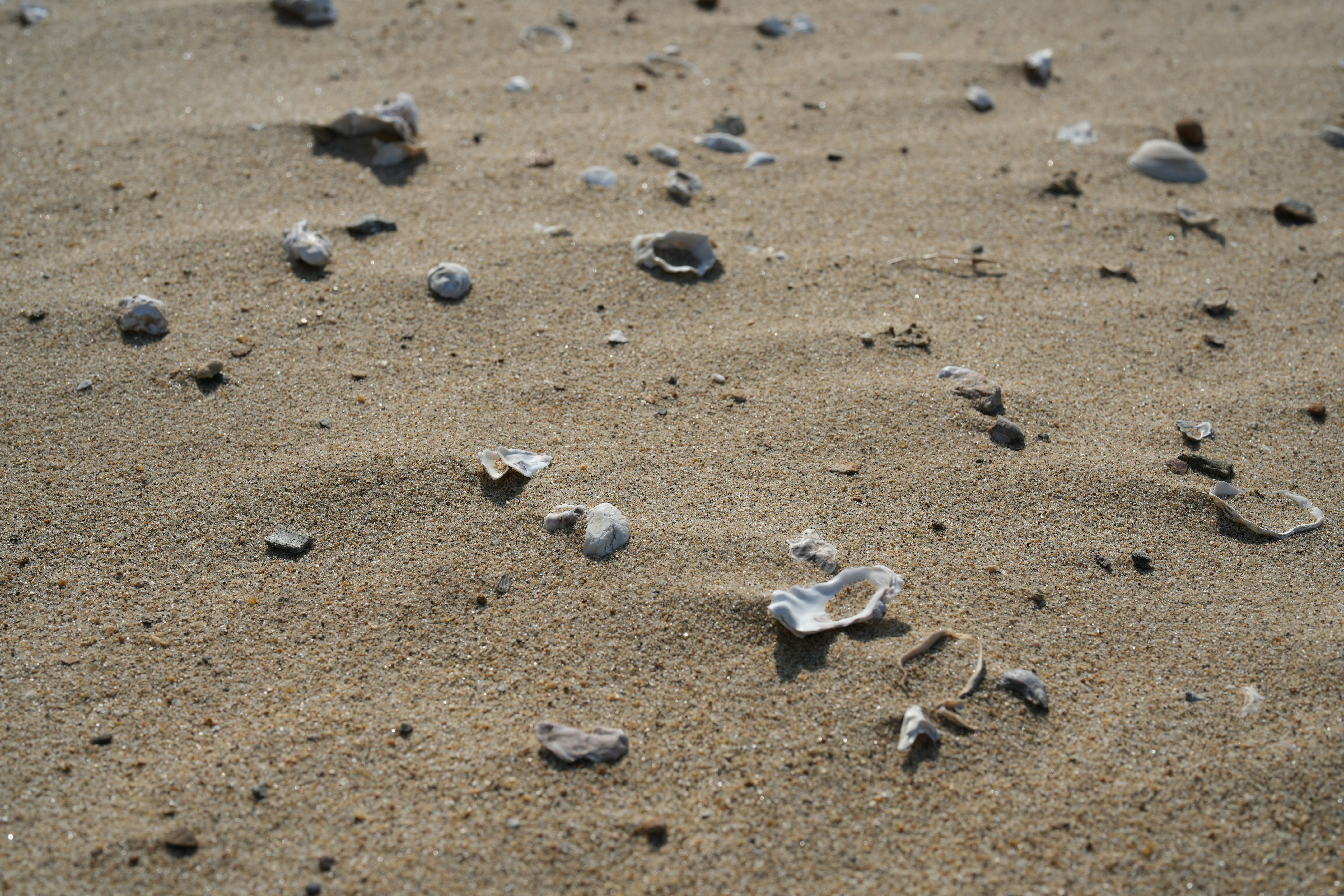 Photo by happylemon2ix