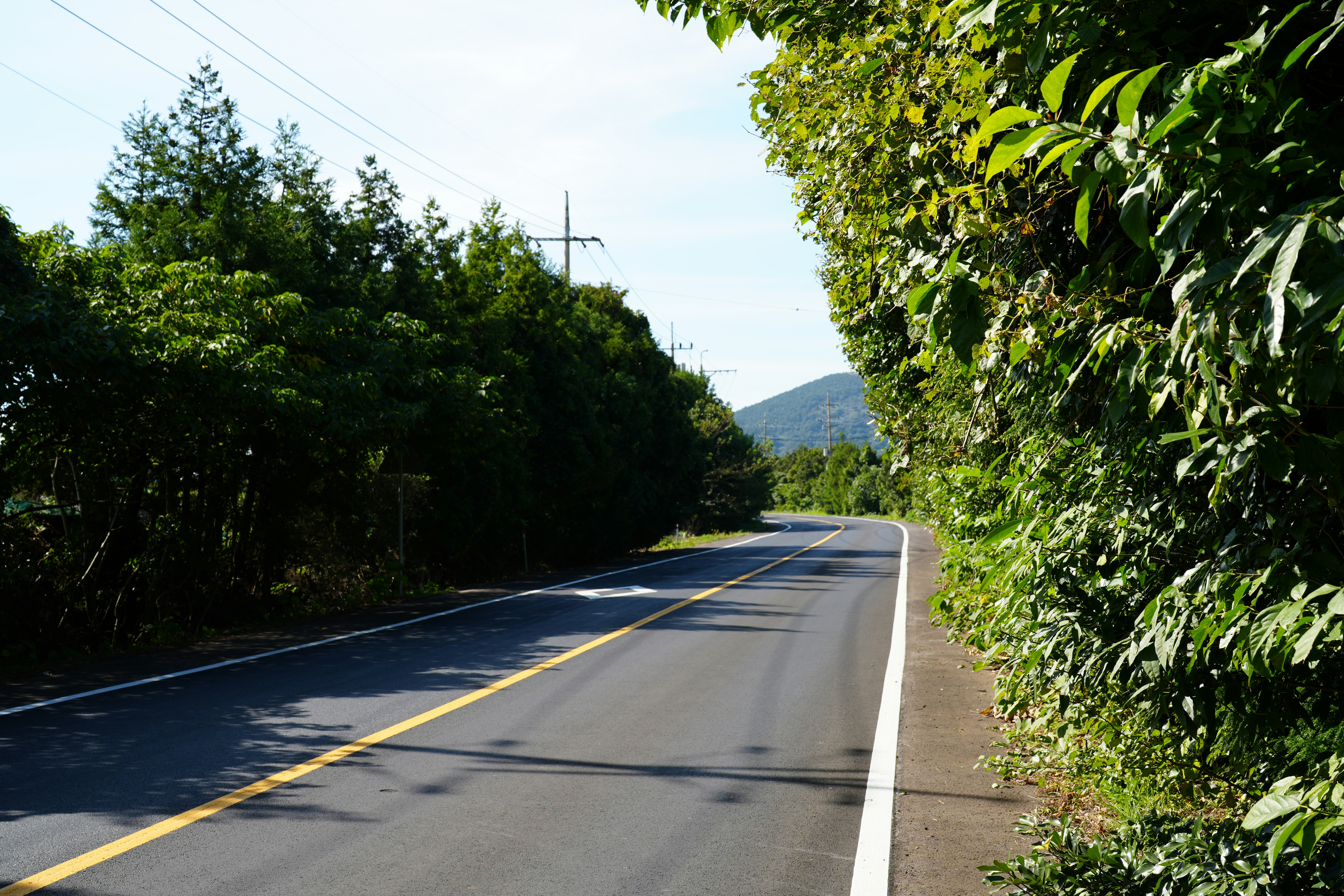 Photo by happylemon2ix