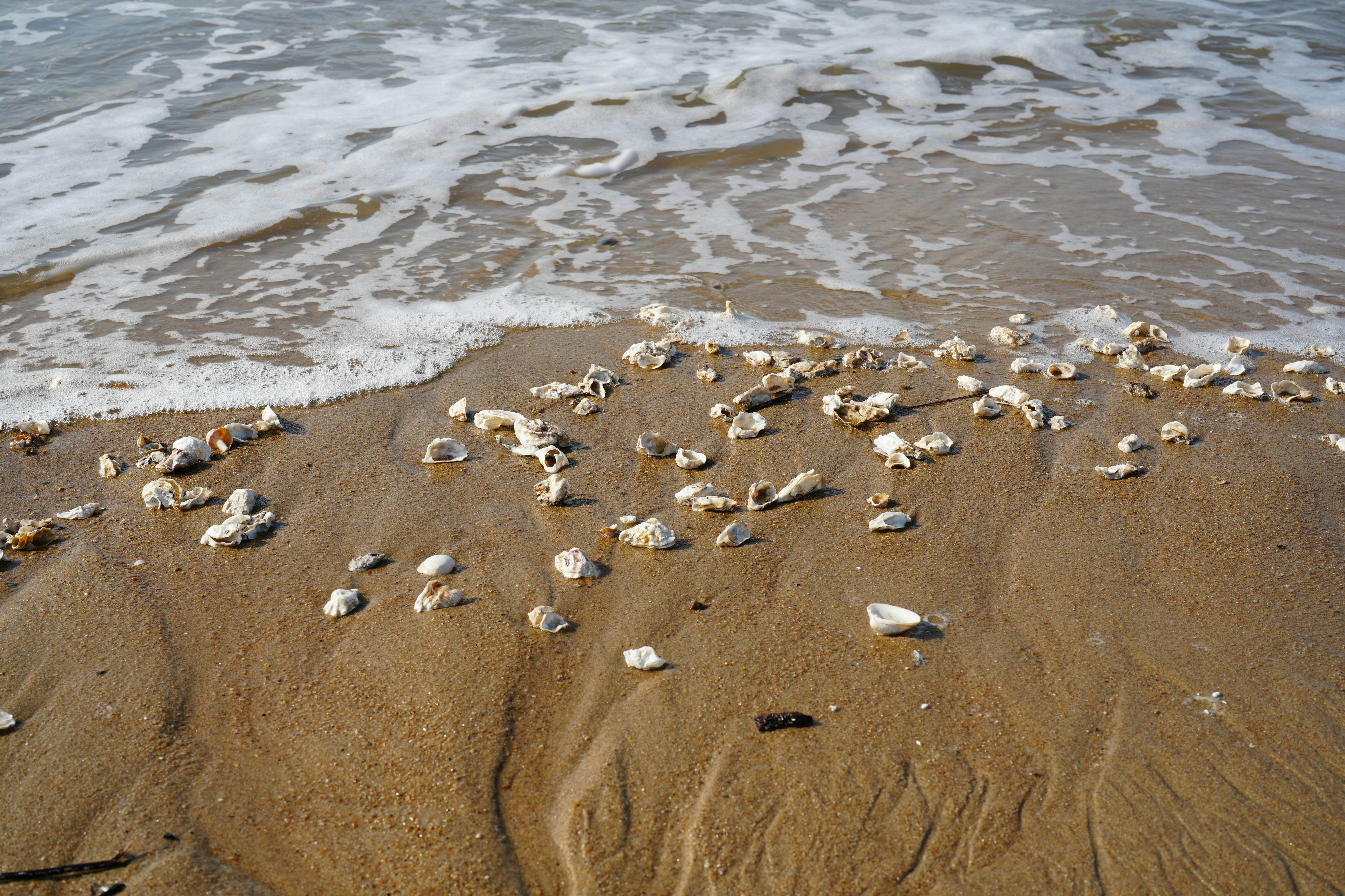 Photo by happylemon2ix