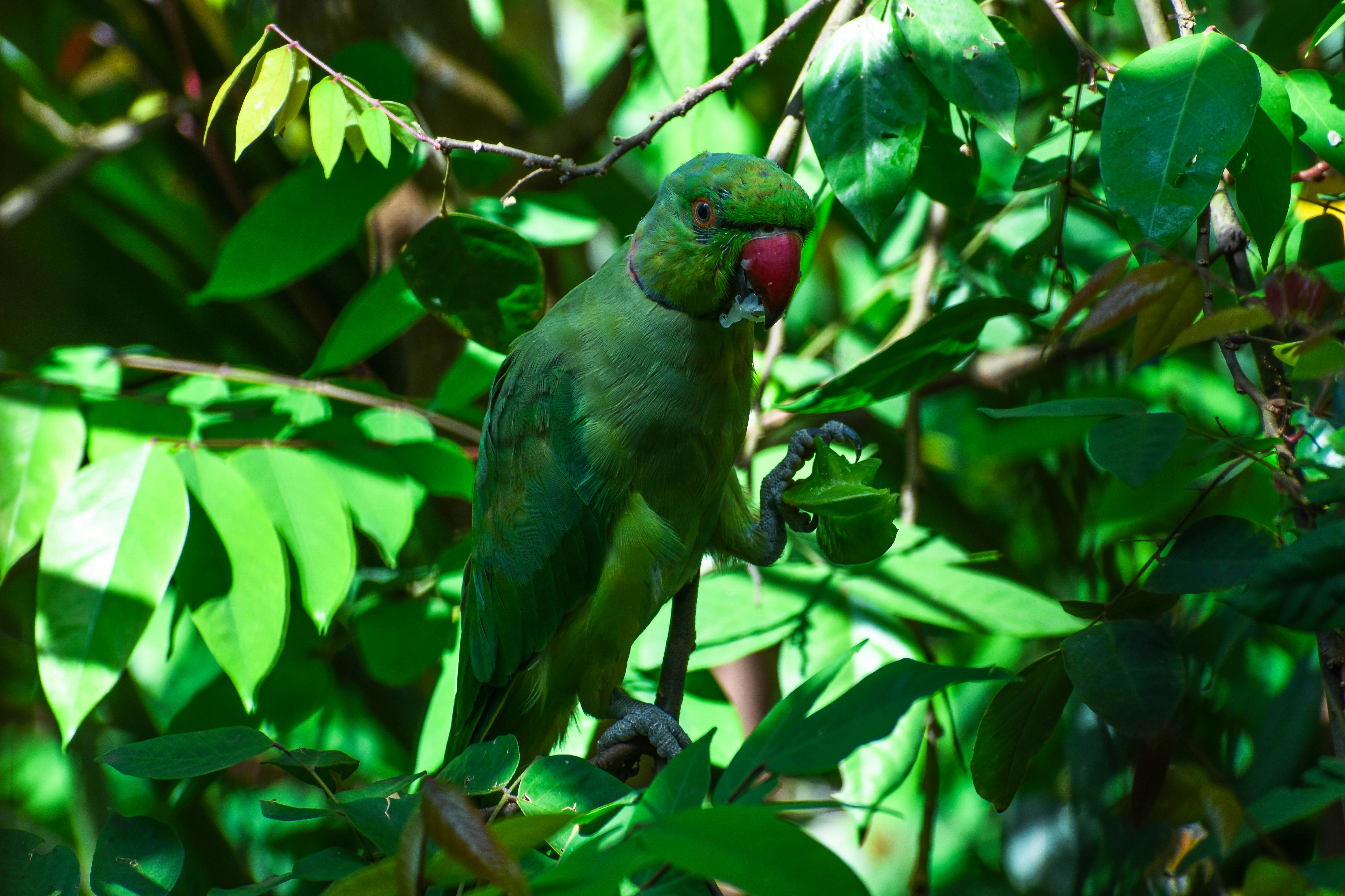 Photo by samsphotography