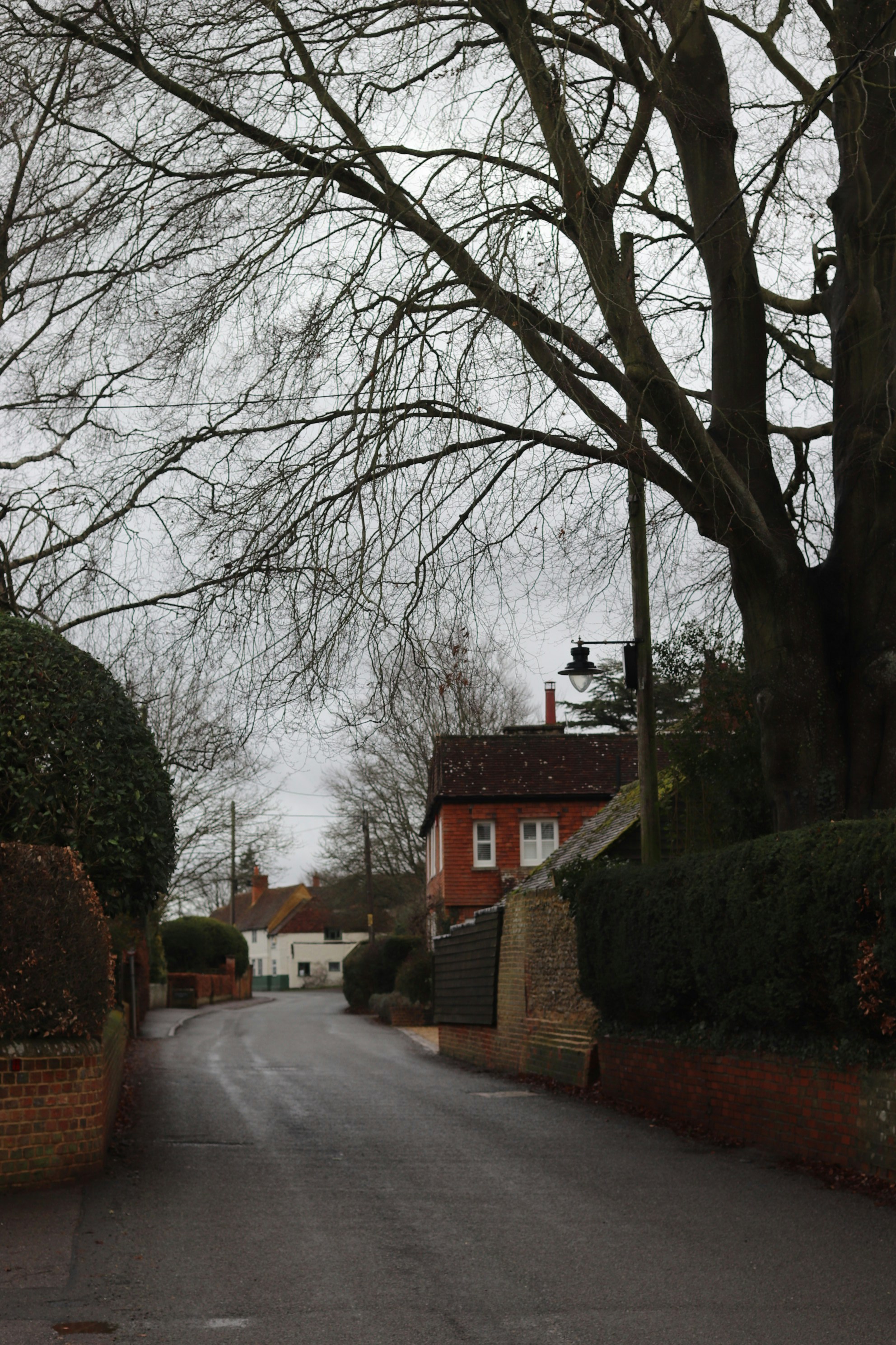 Photo by tanyabarrow