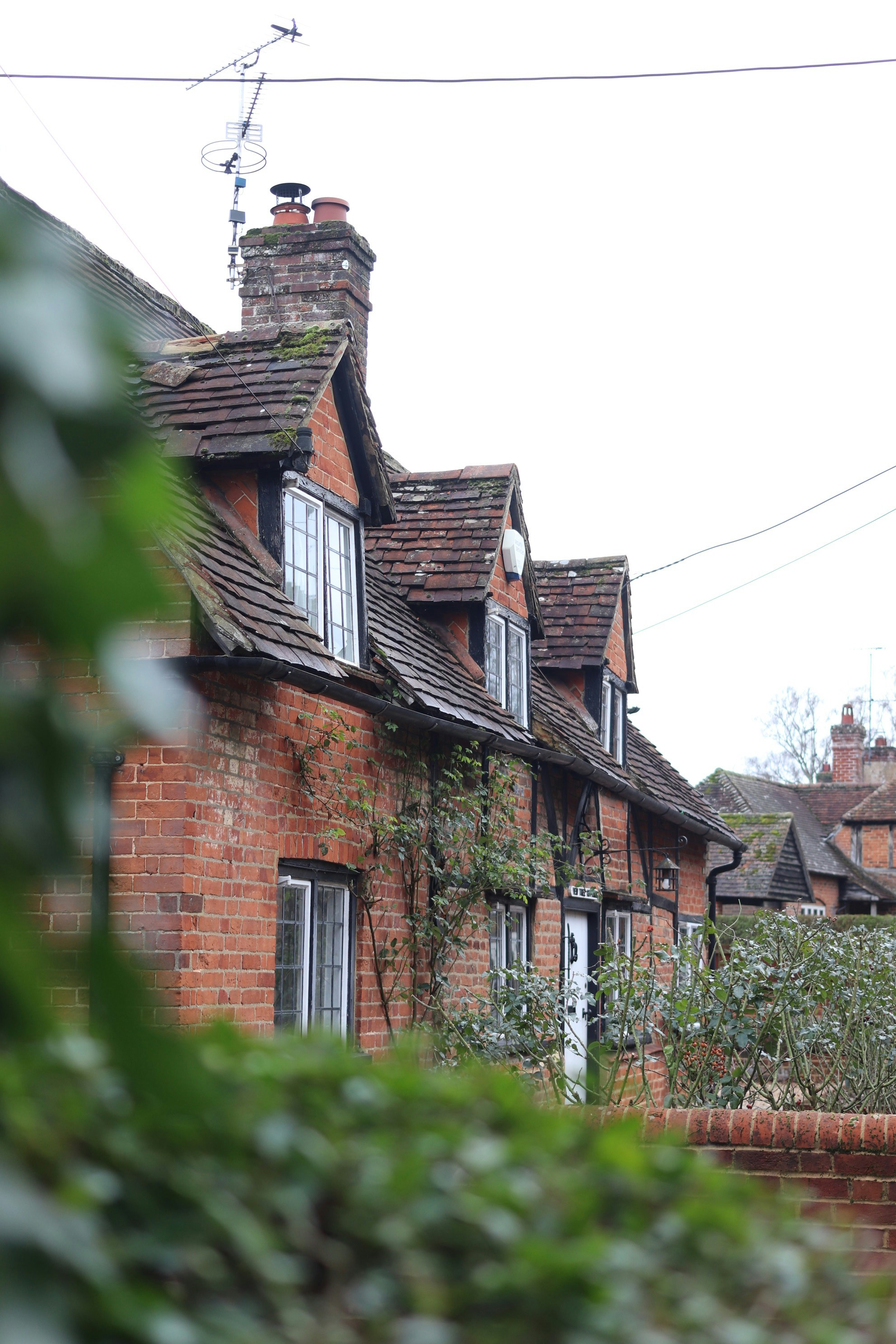 Photo by tanyabarrow