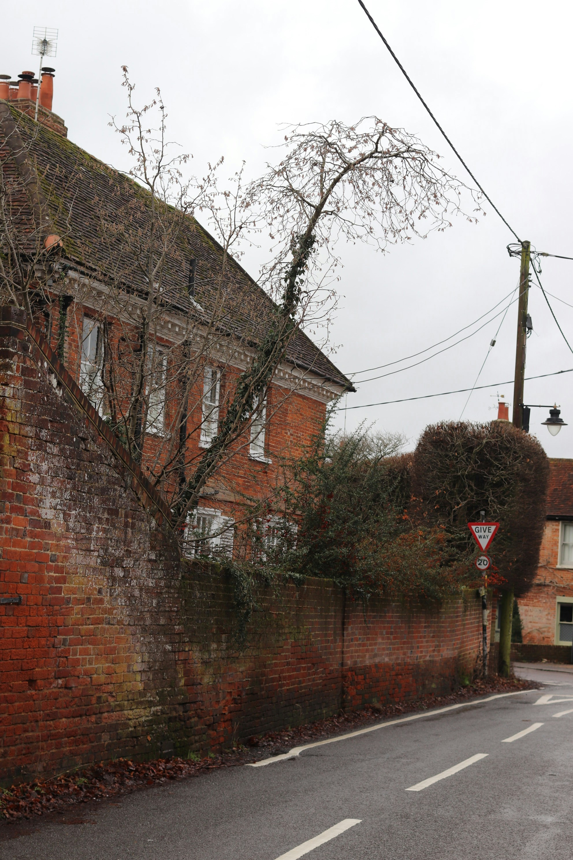 Photo by tanyabarrow