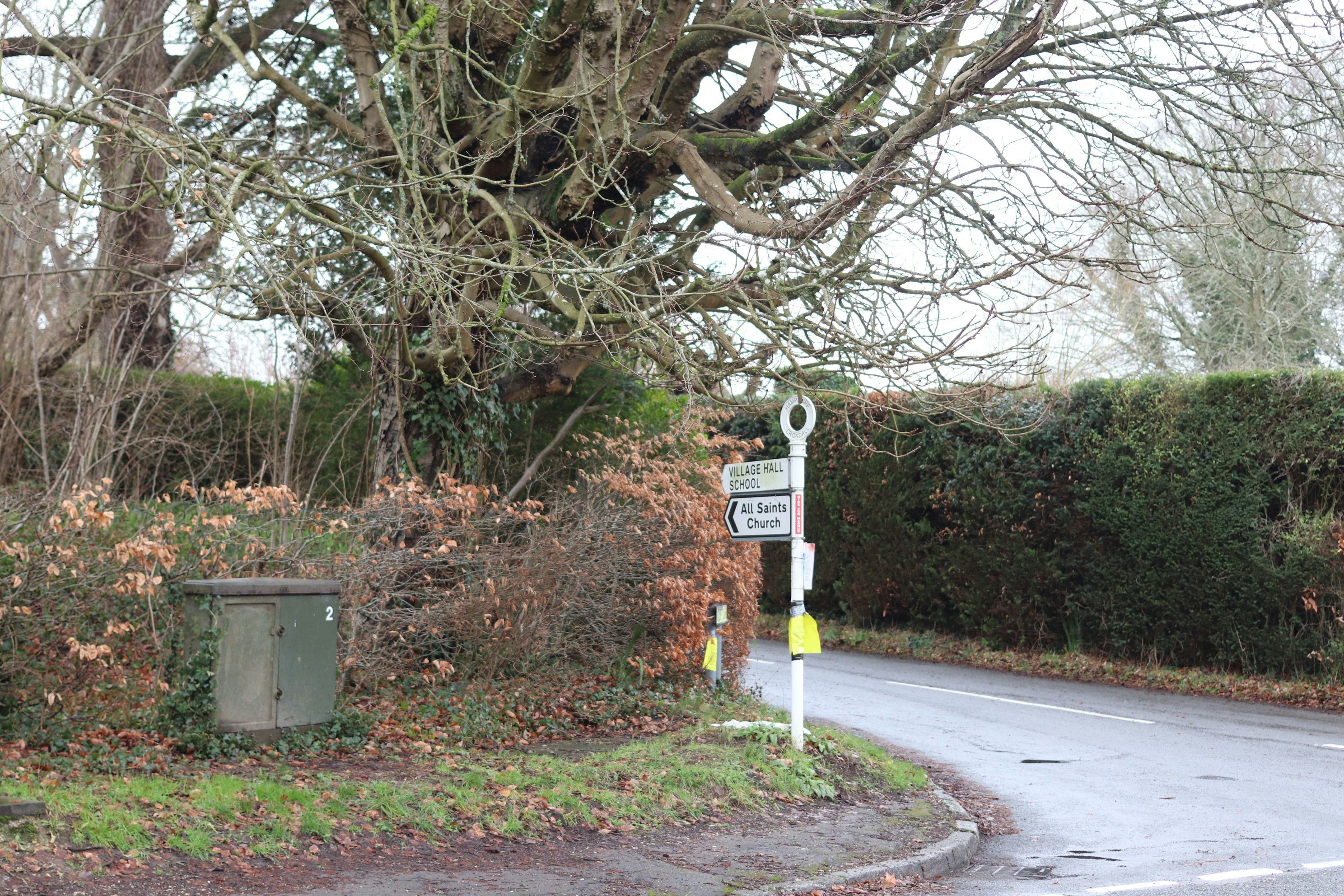 Photo by tanyabarrow