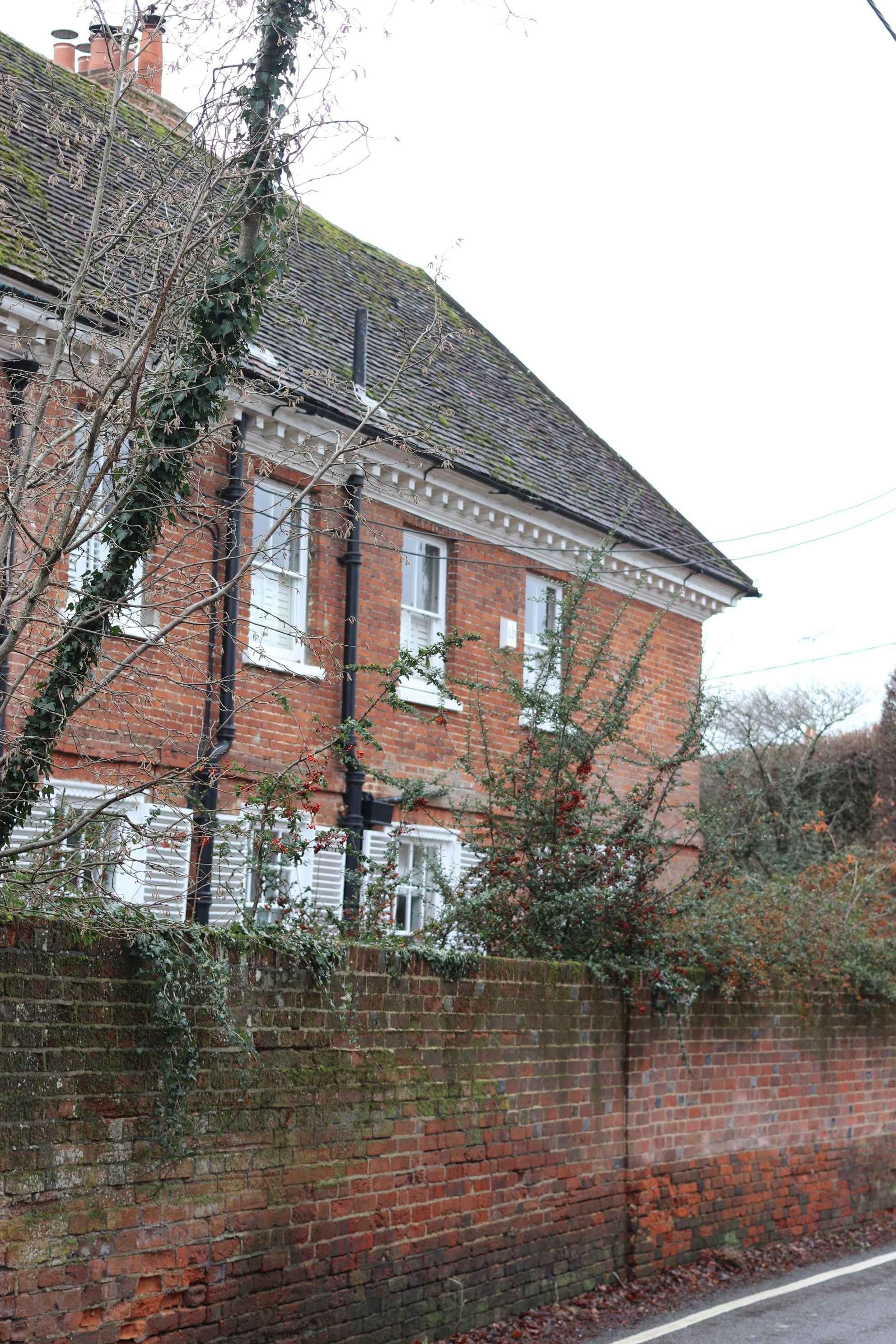 Photo by tanyabarrow