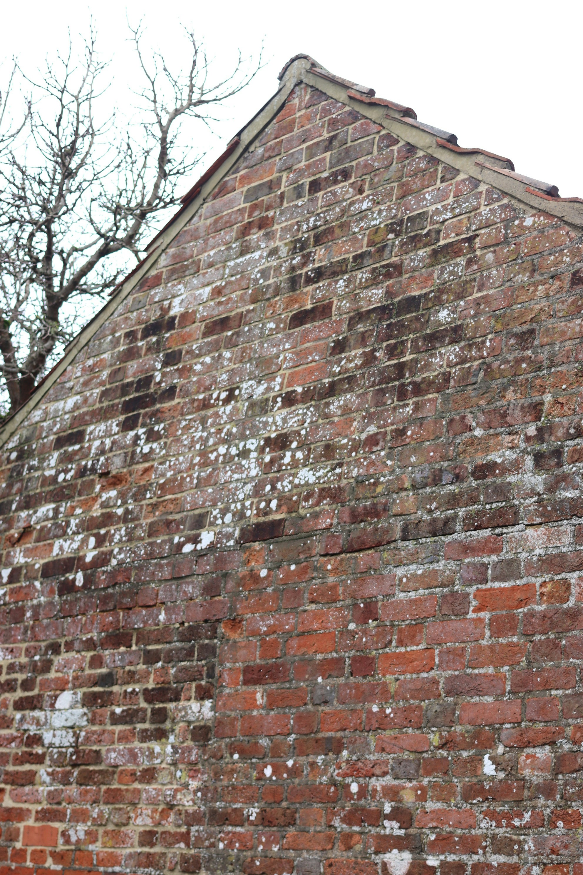 Photo by tanyabarrow