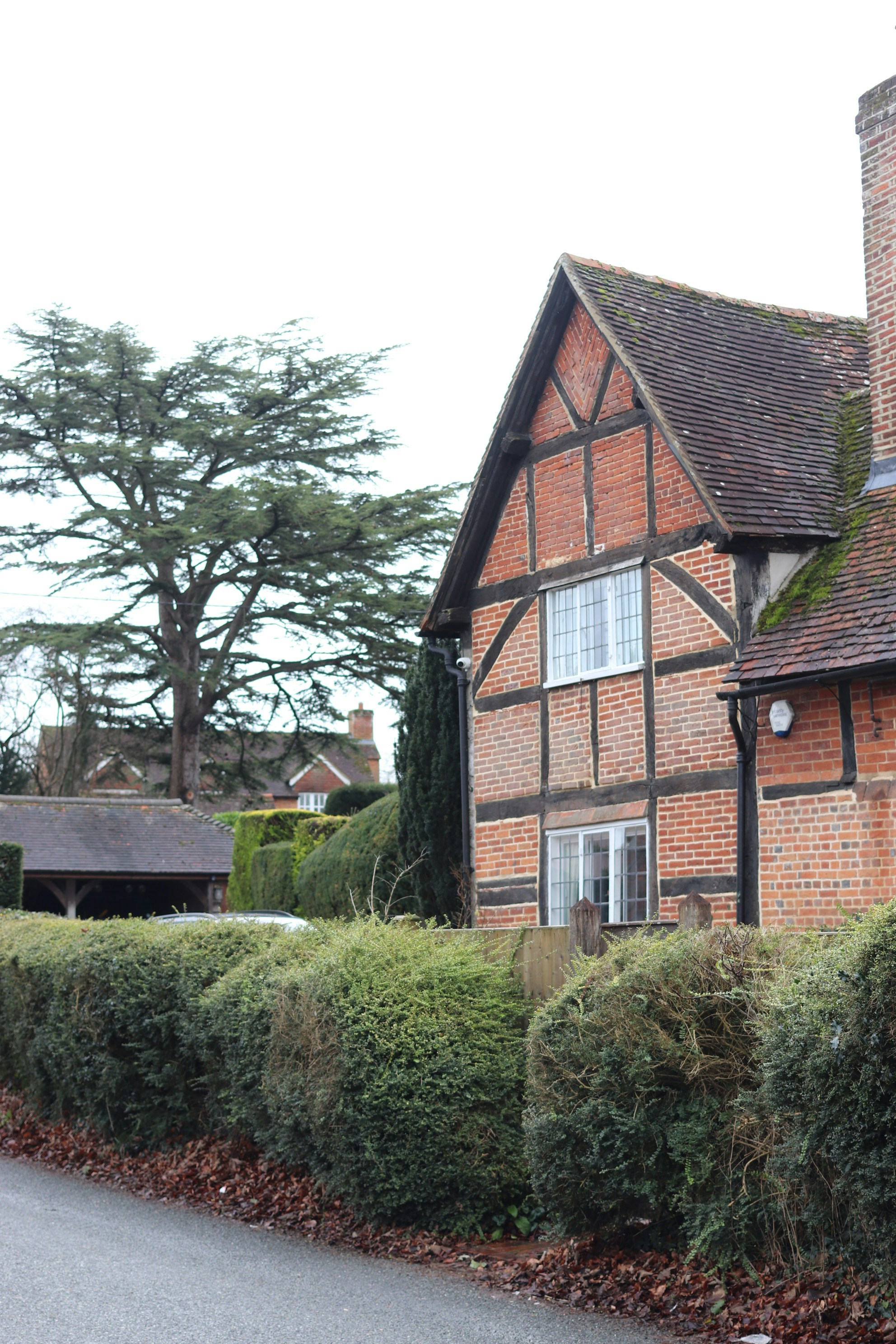 Photo by tanyabarrow