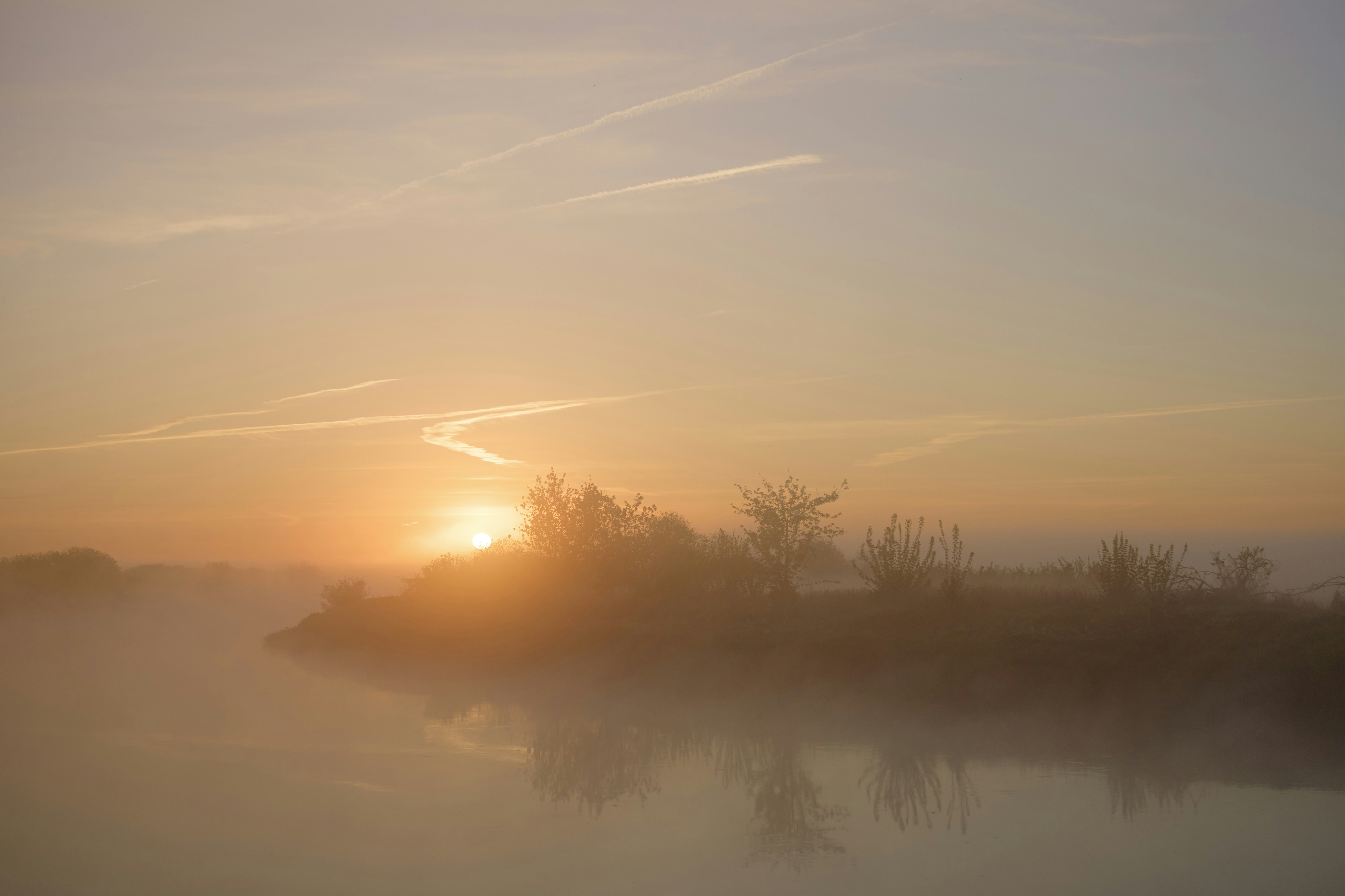 Photo by wolfgang_hasselmann