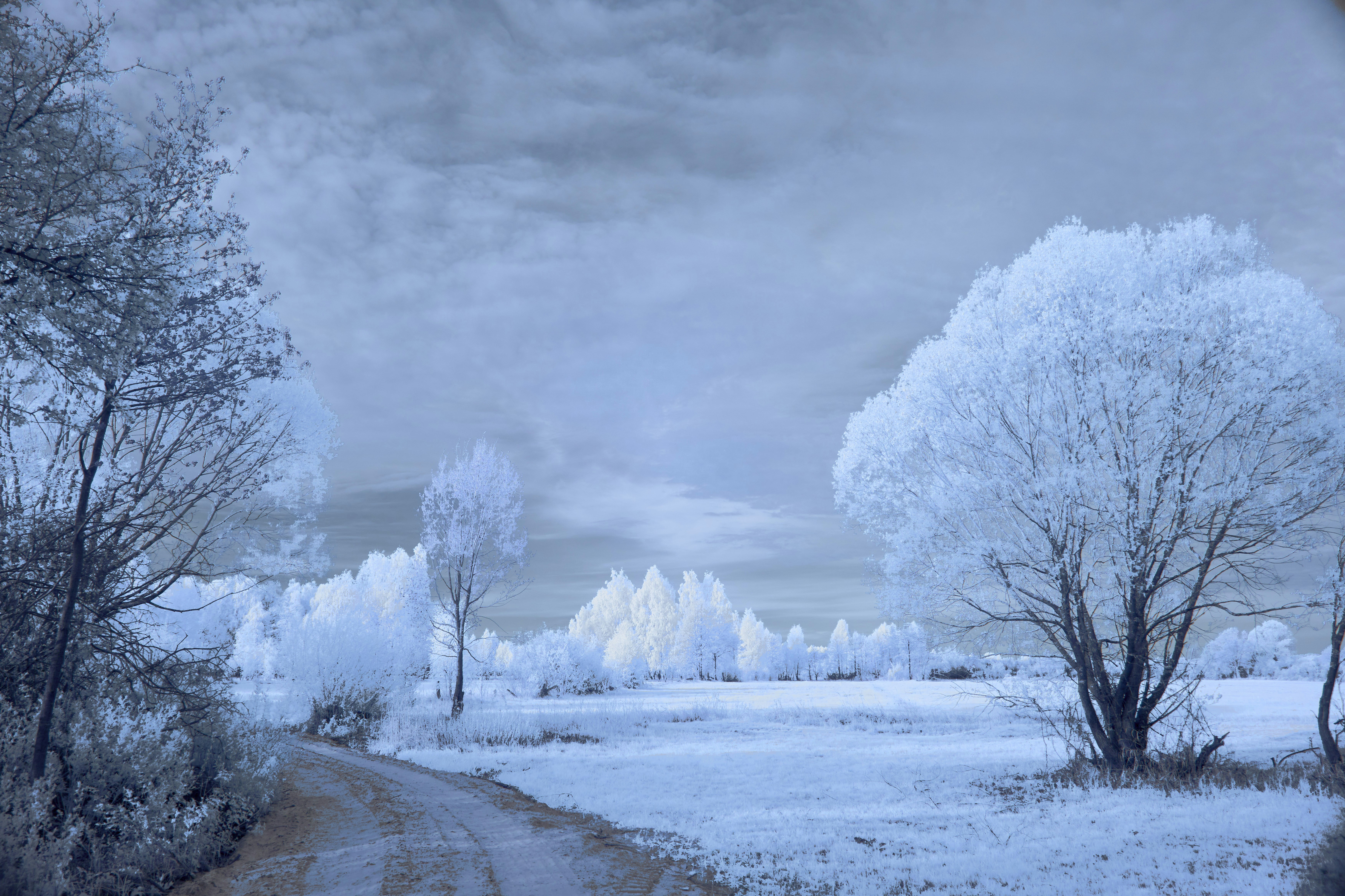 Photo by wolfgang_hasselmann