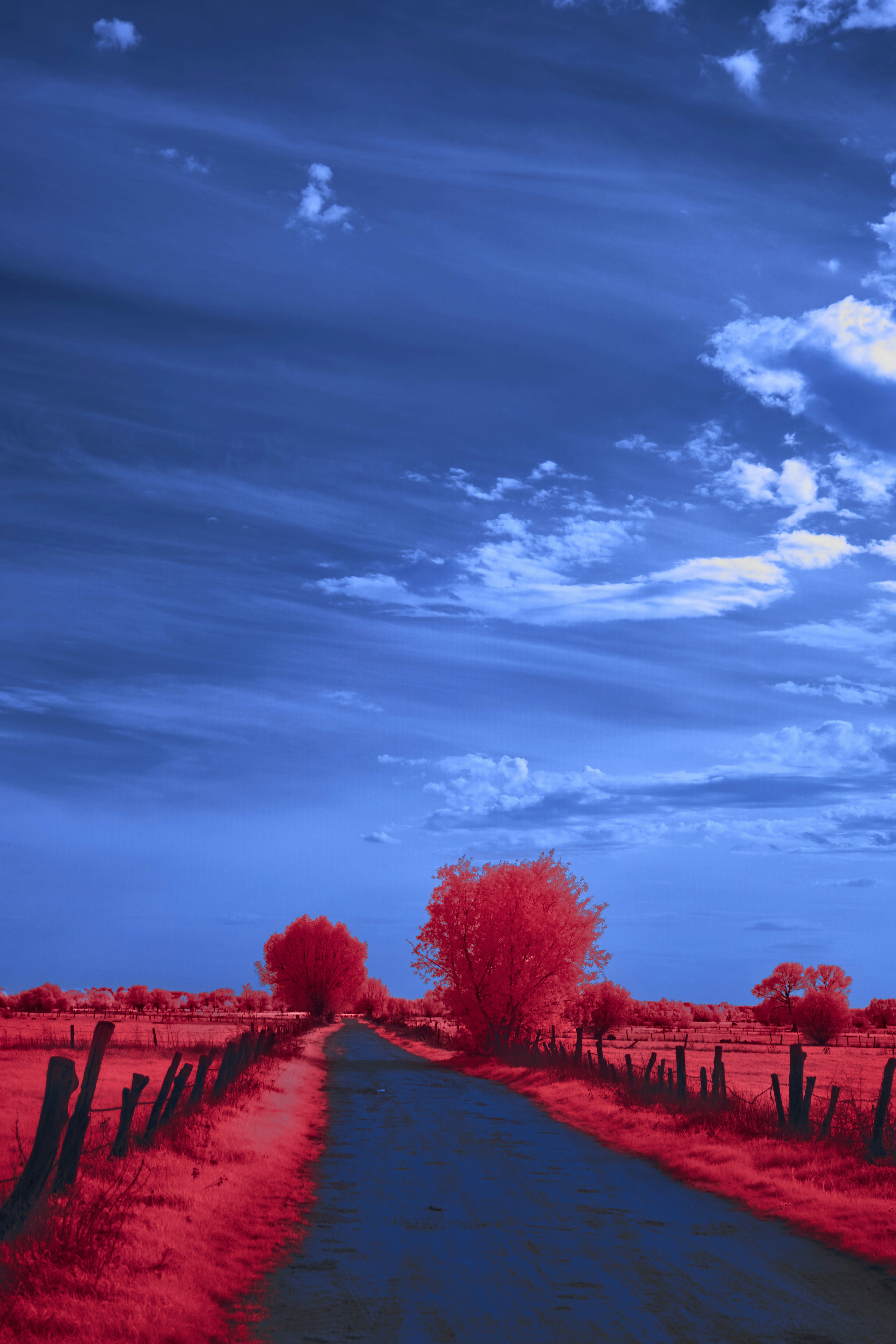 Photo by wolfgang_hasselmann