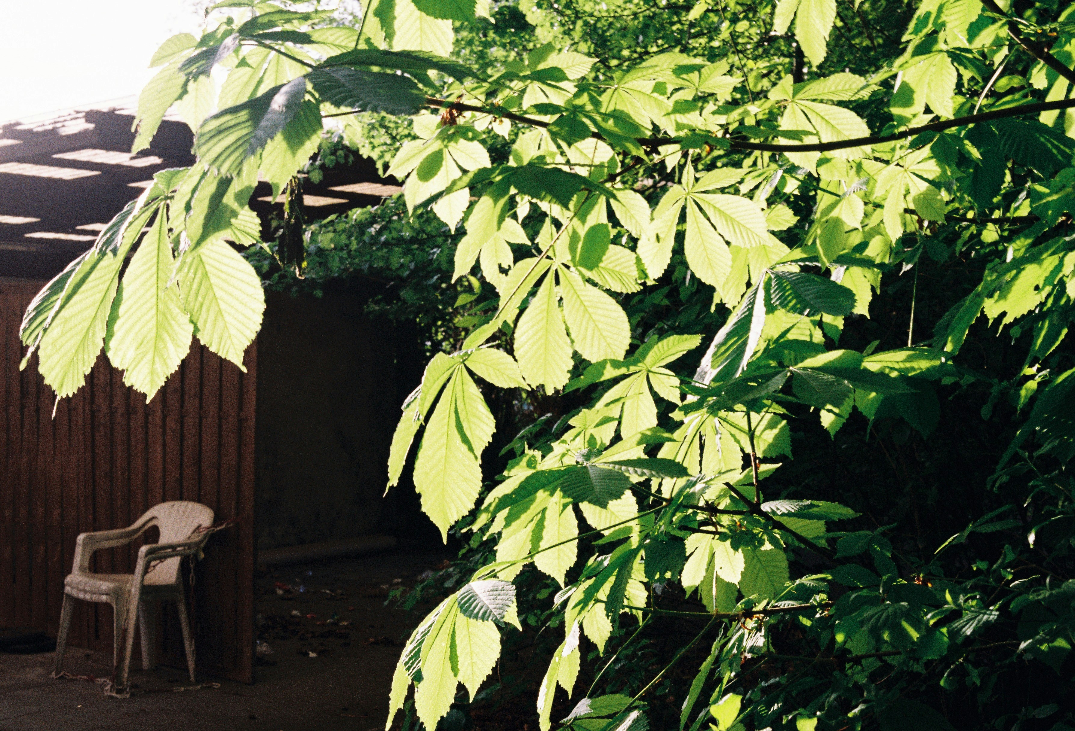 Photo by _kseniademenko