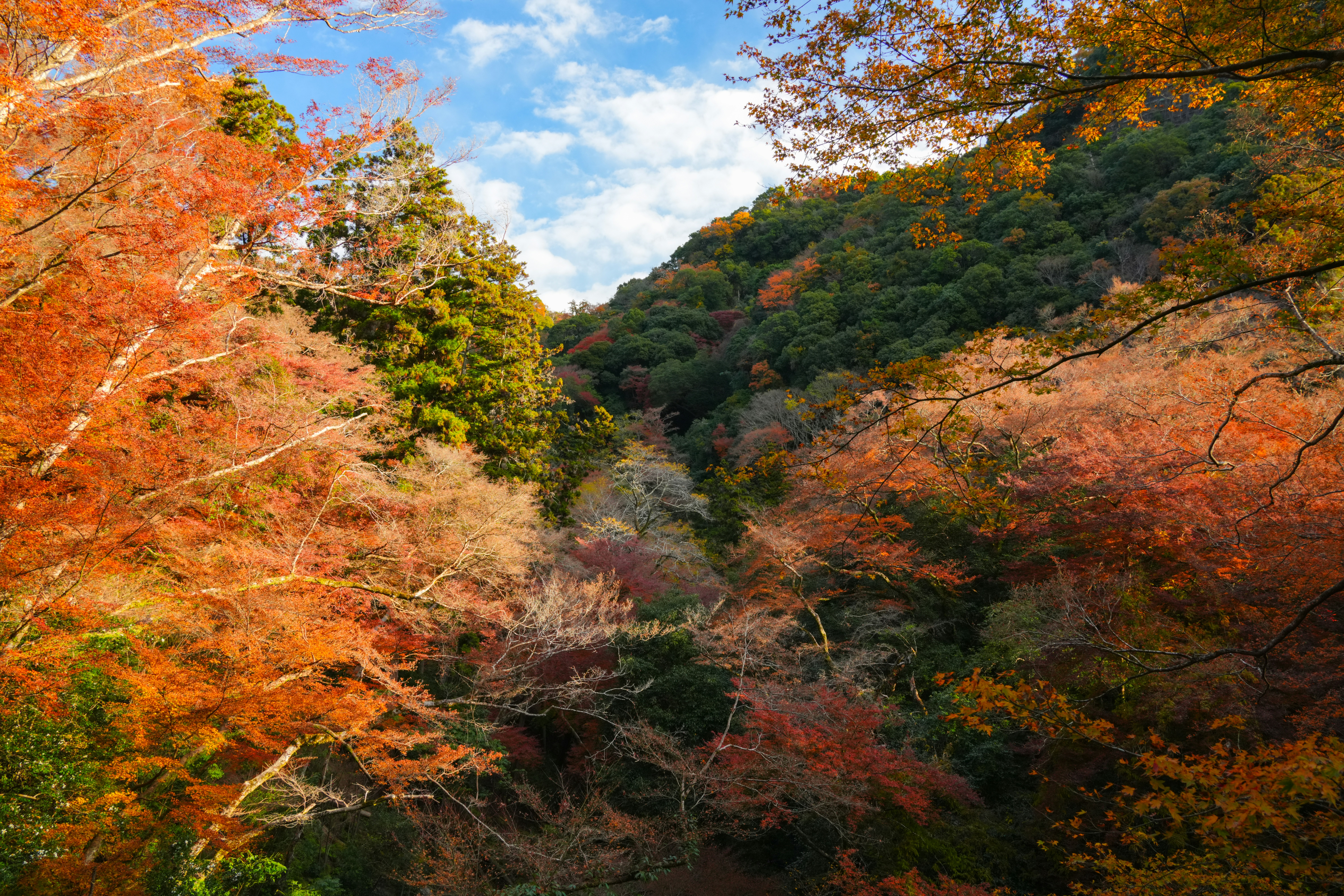 Photo by hattrick1996