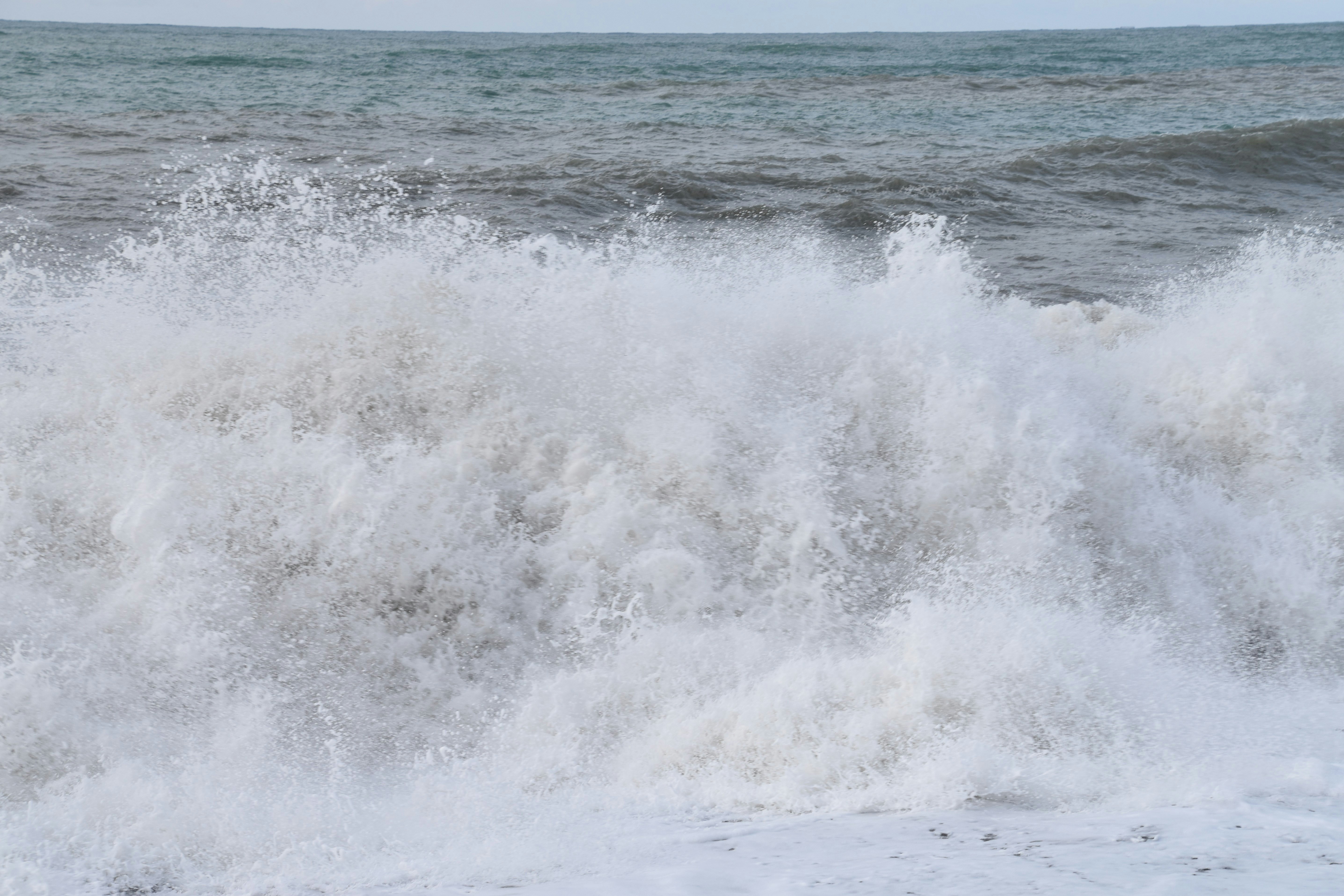 Photo by thedariality