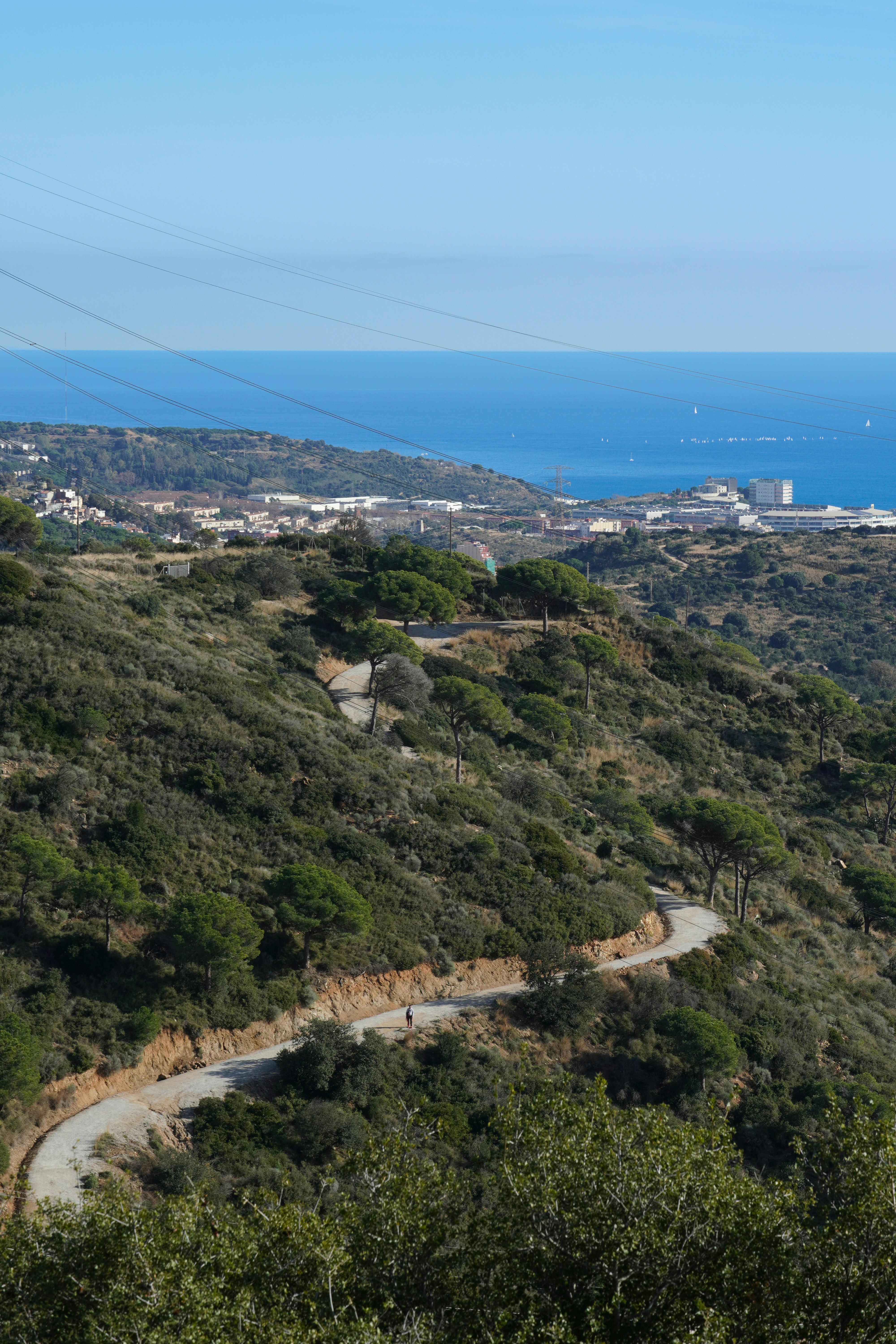 Winding road through green hills towards the ocean.