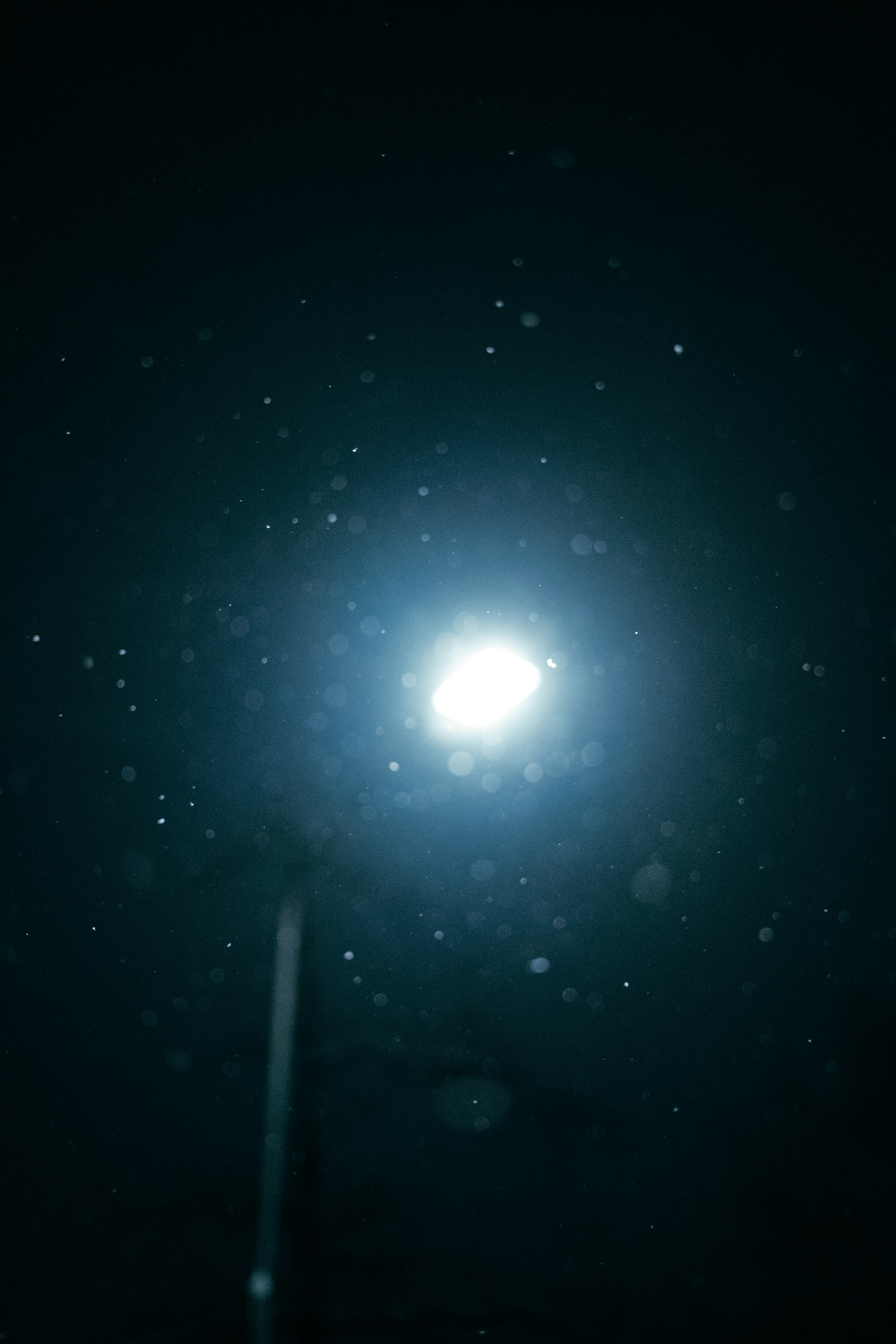 Streetlight illuminates dust particles in the dark night.