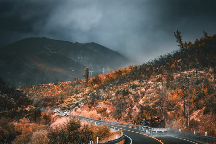 Best Time To Visit