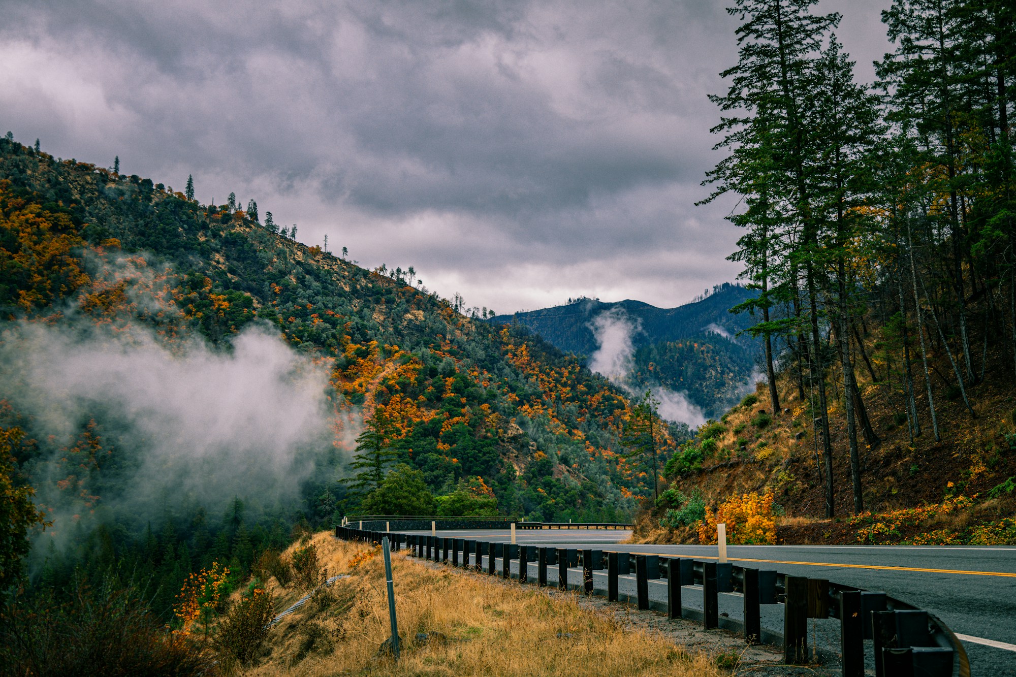 Smoky mountain road through autumn trees