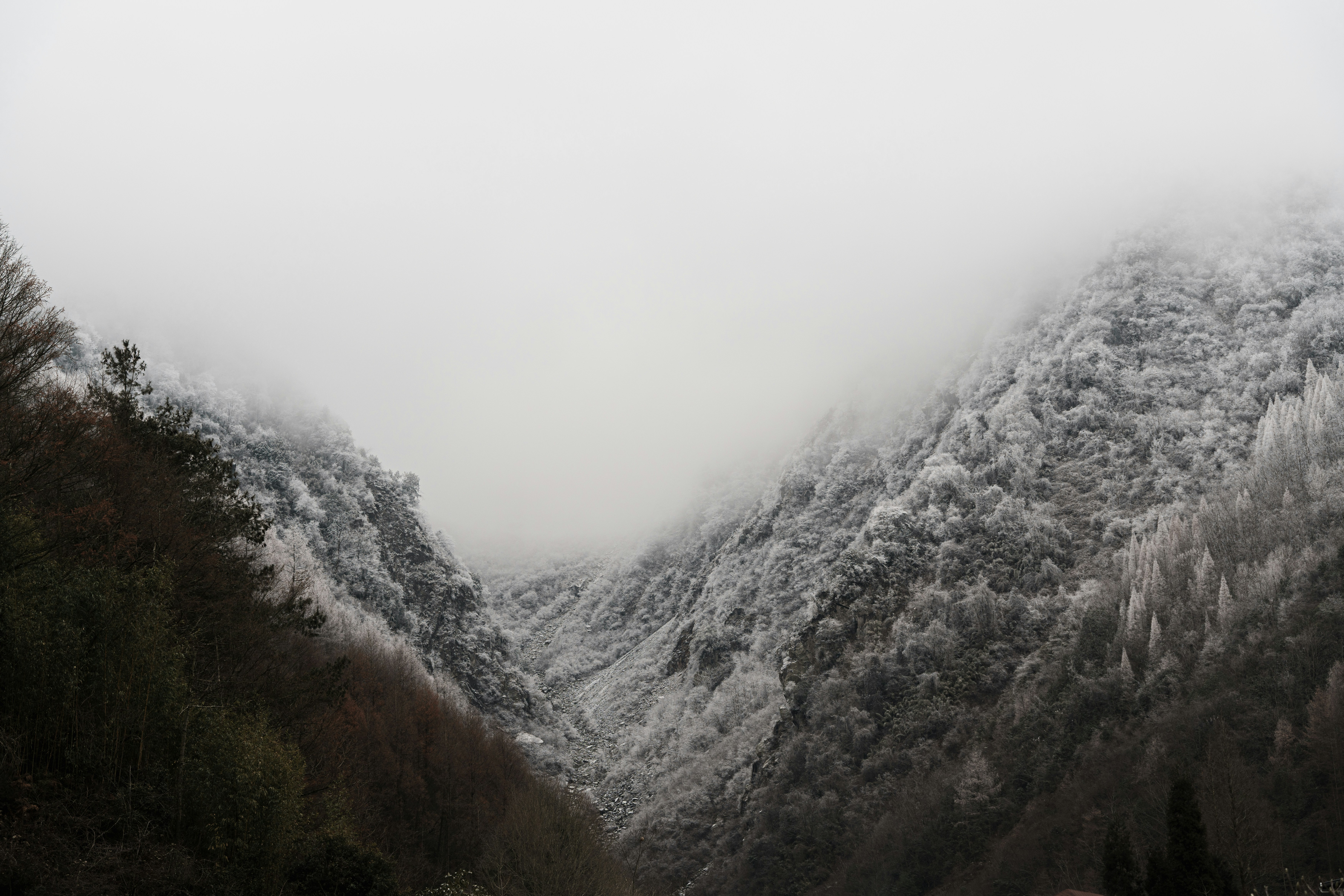 Photo by plasticine66