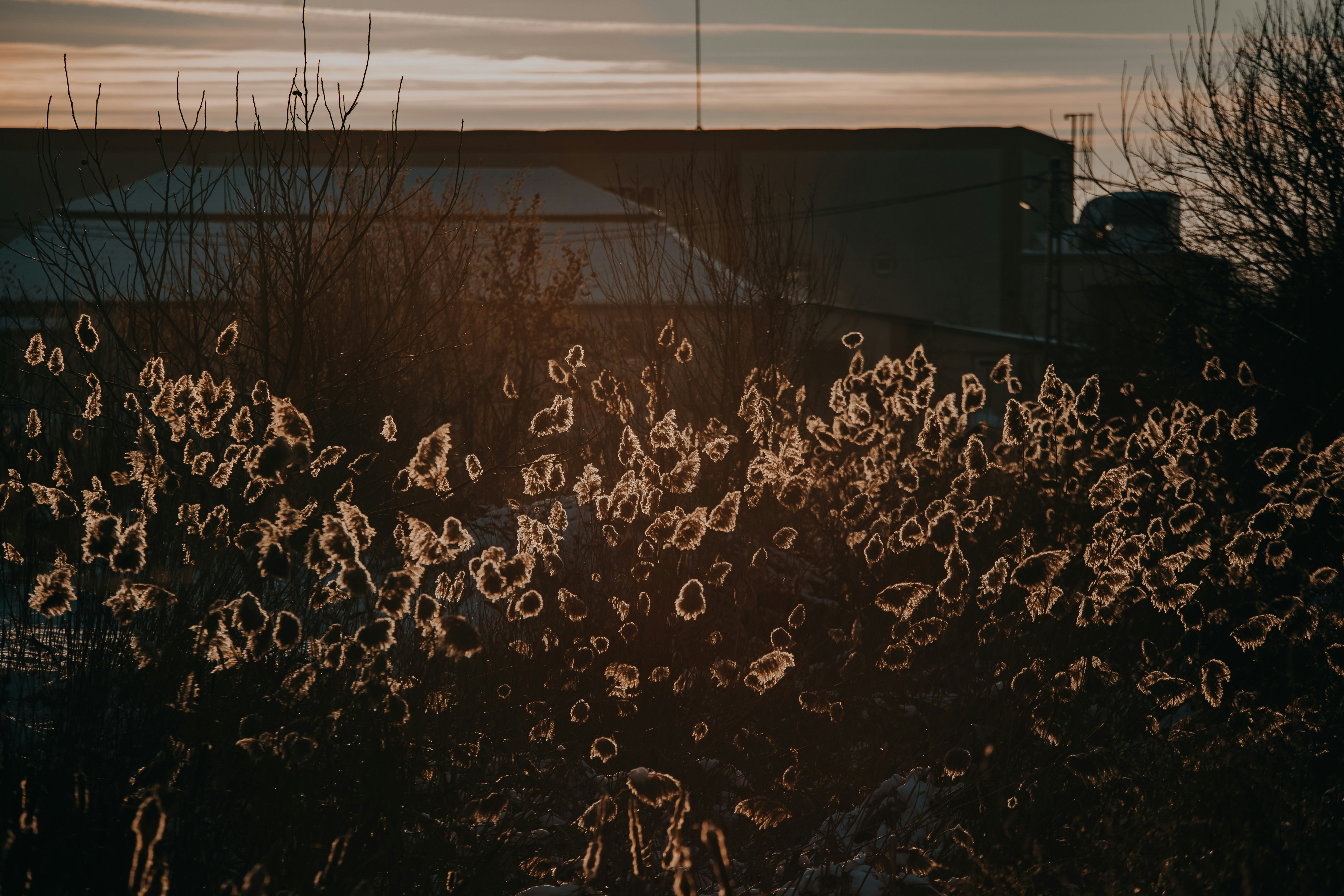 Photo by sylvester_s