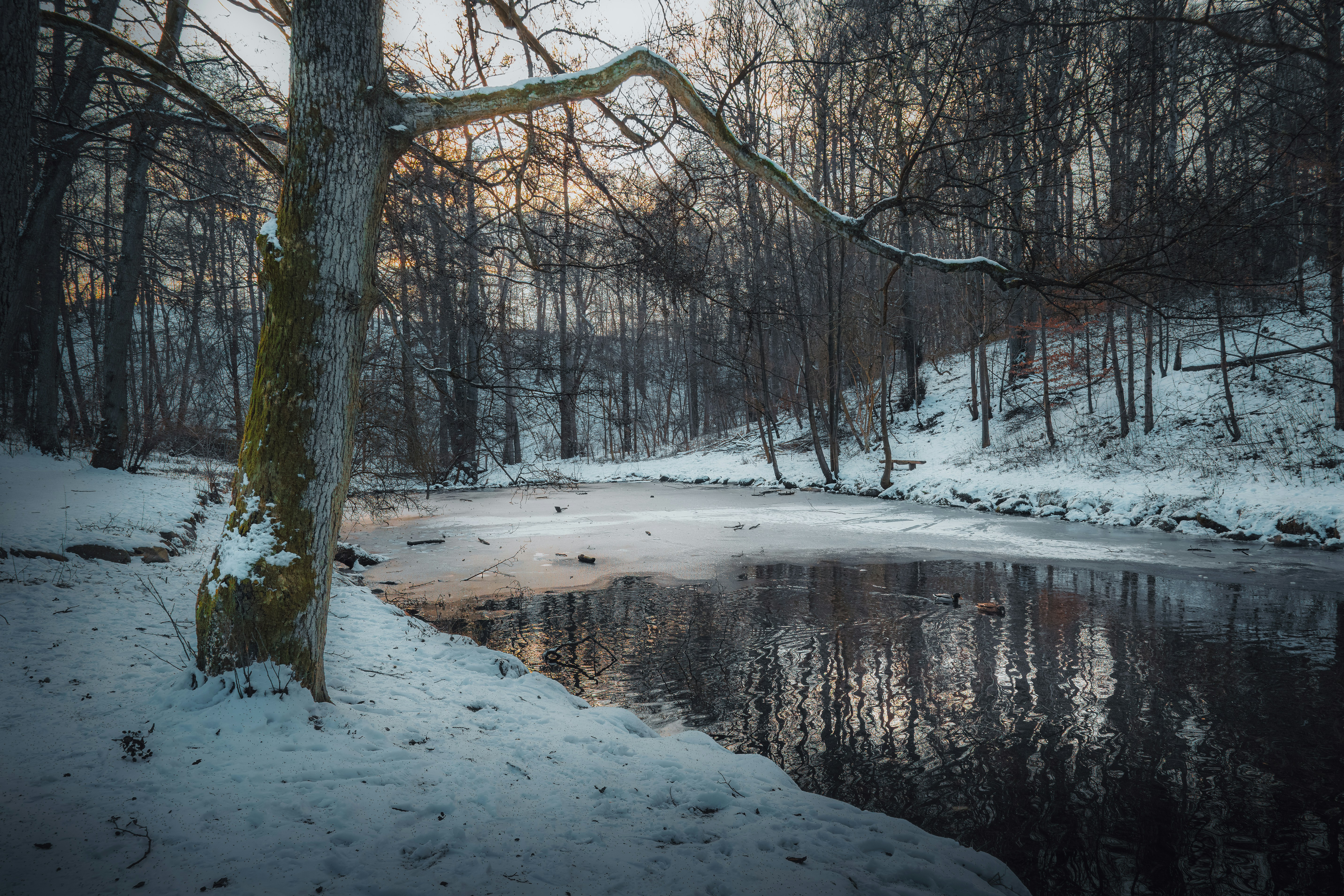 Photo by henkephotoart