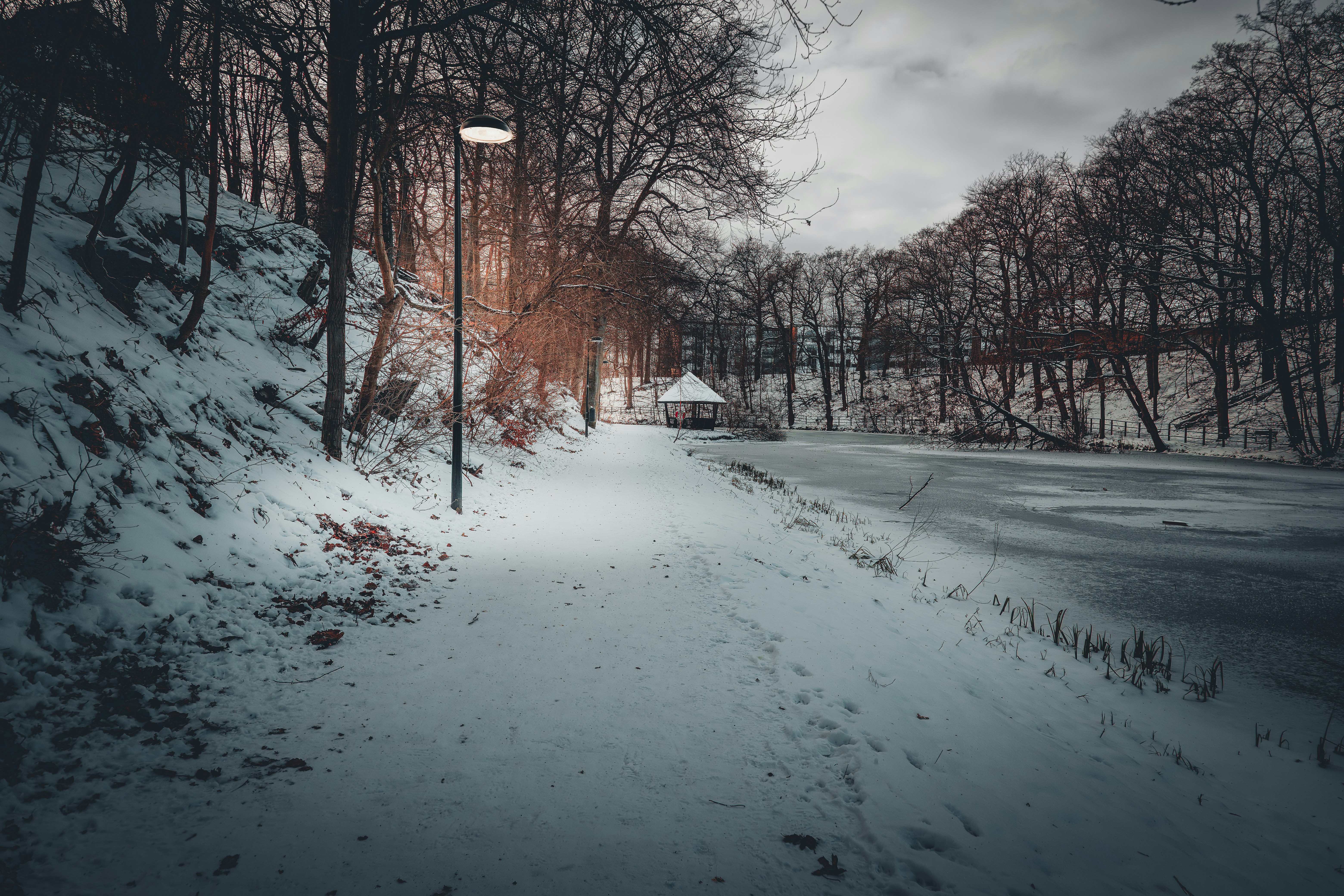 Photo by henkephotoart