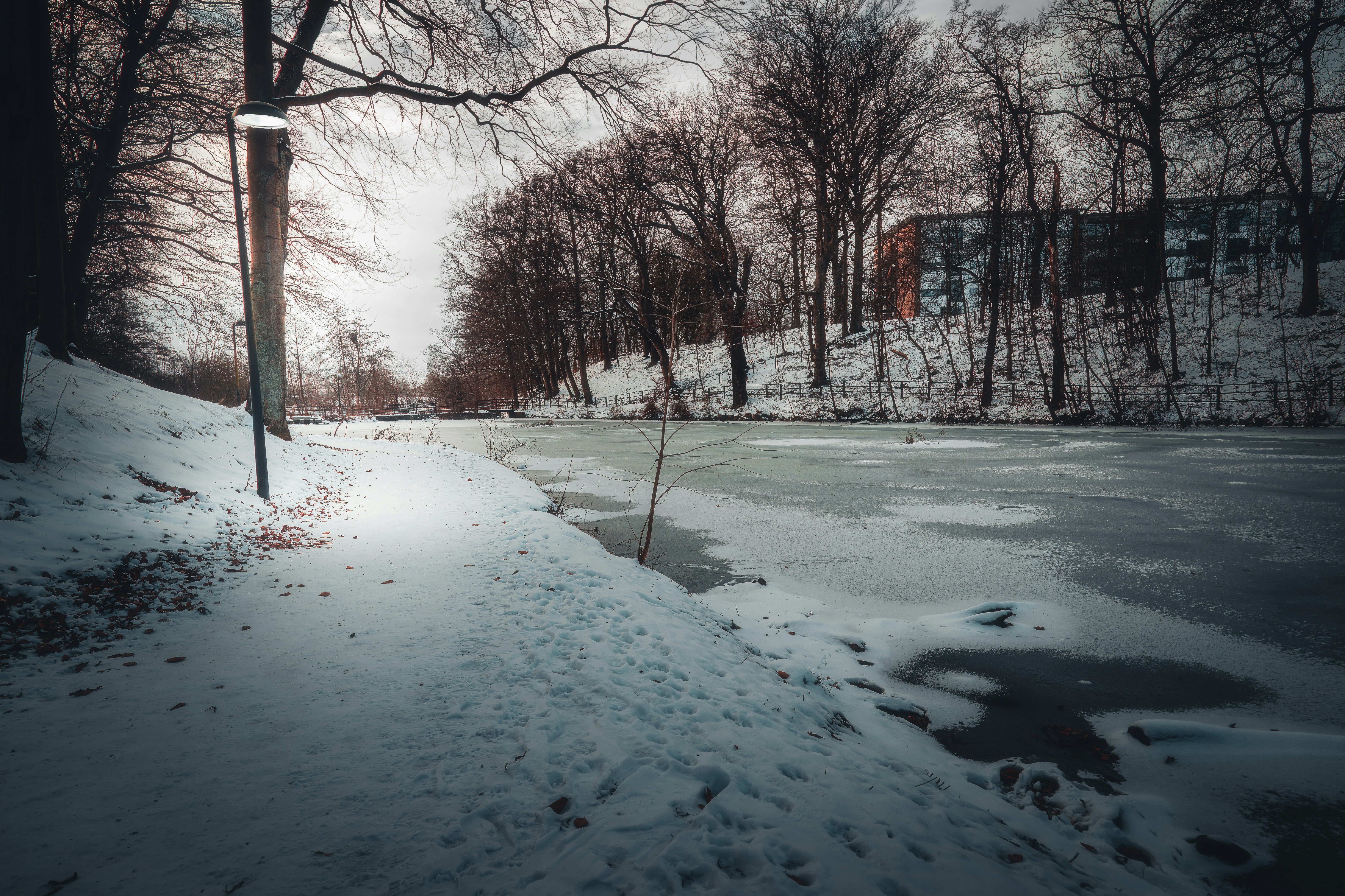 Photo by henkephotoart