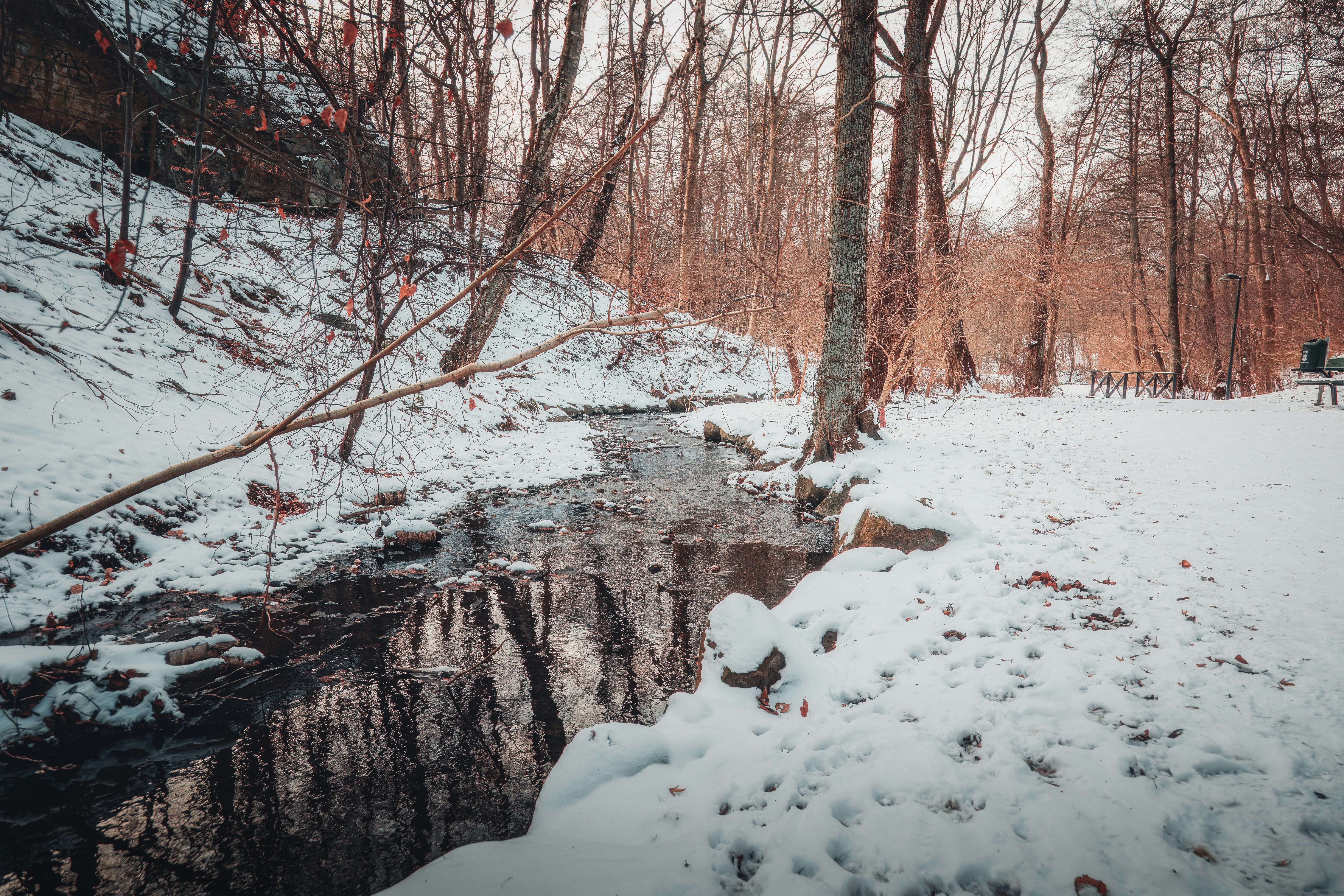 Photo by henkephotoart