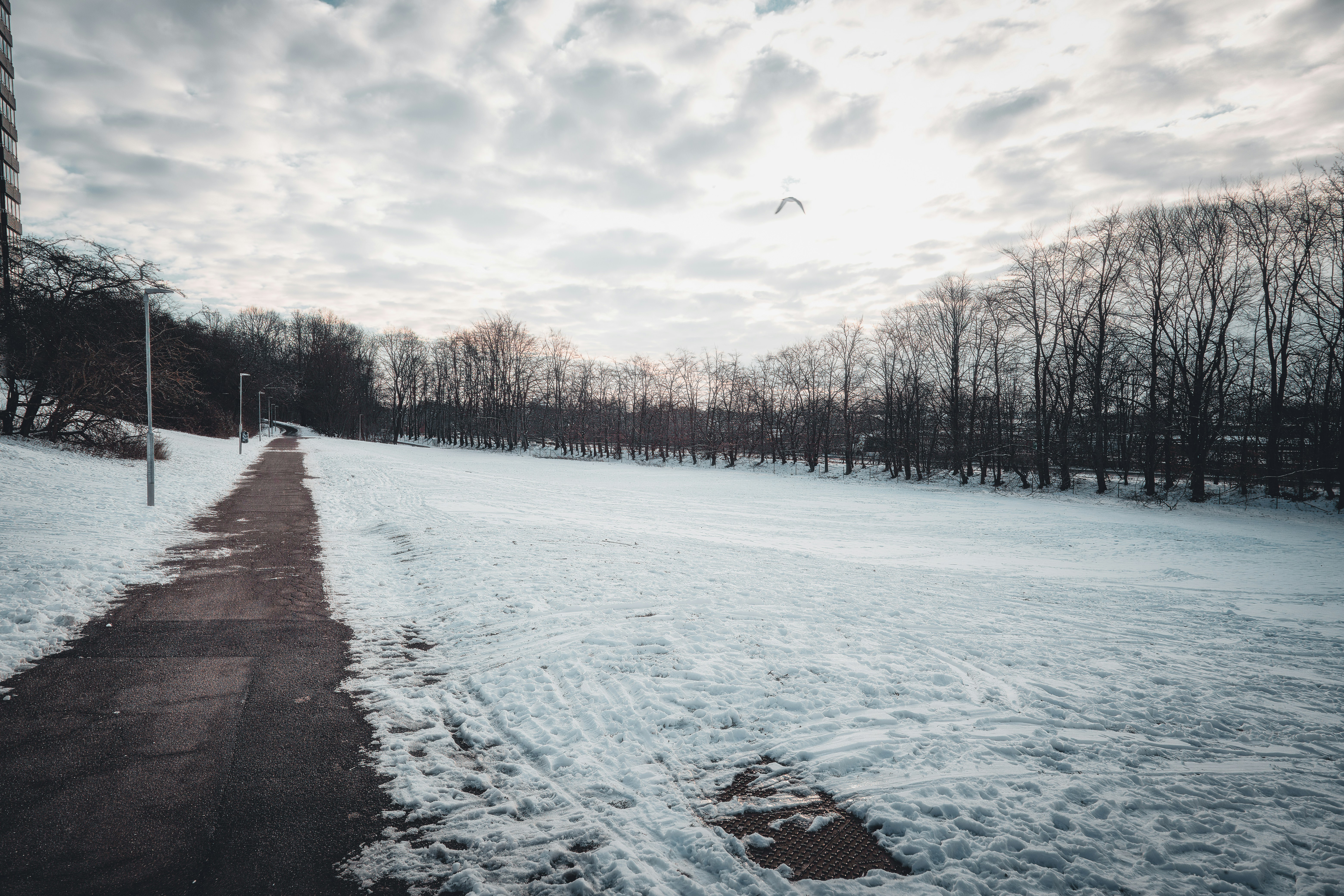 Photo by henkephotoart