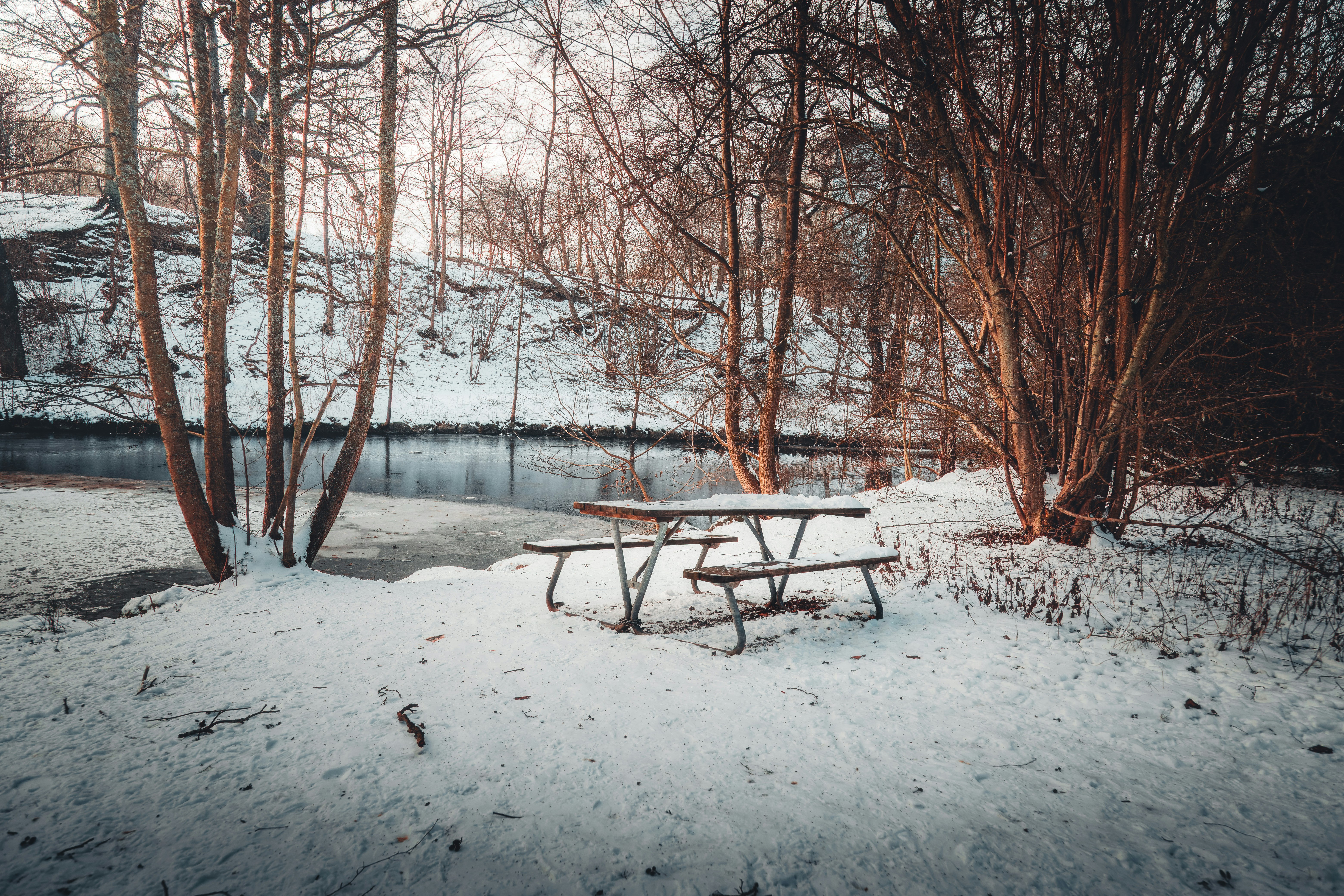 Photo by henkephotoart