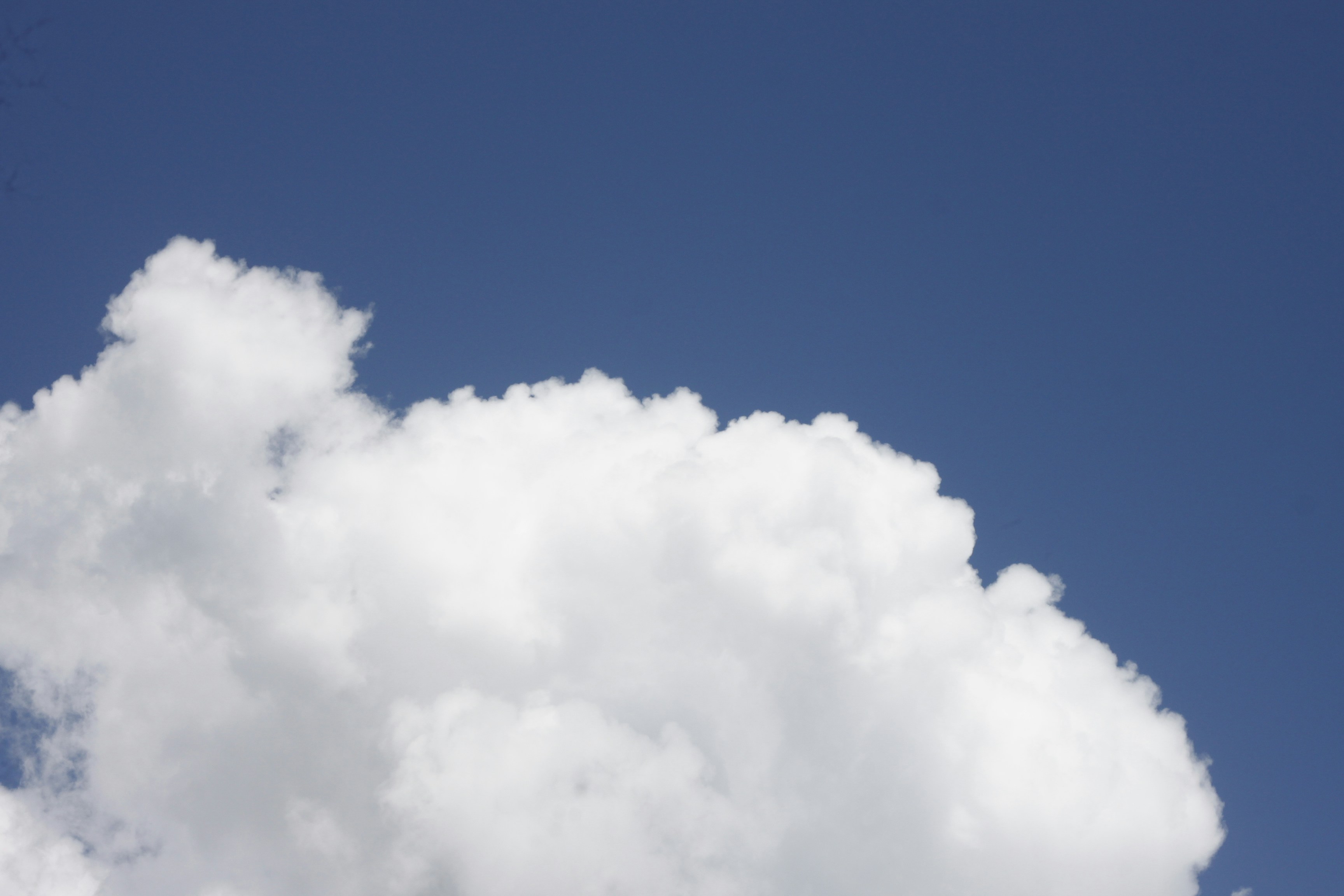 Photo by jtrinh_artwork