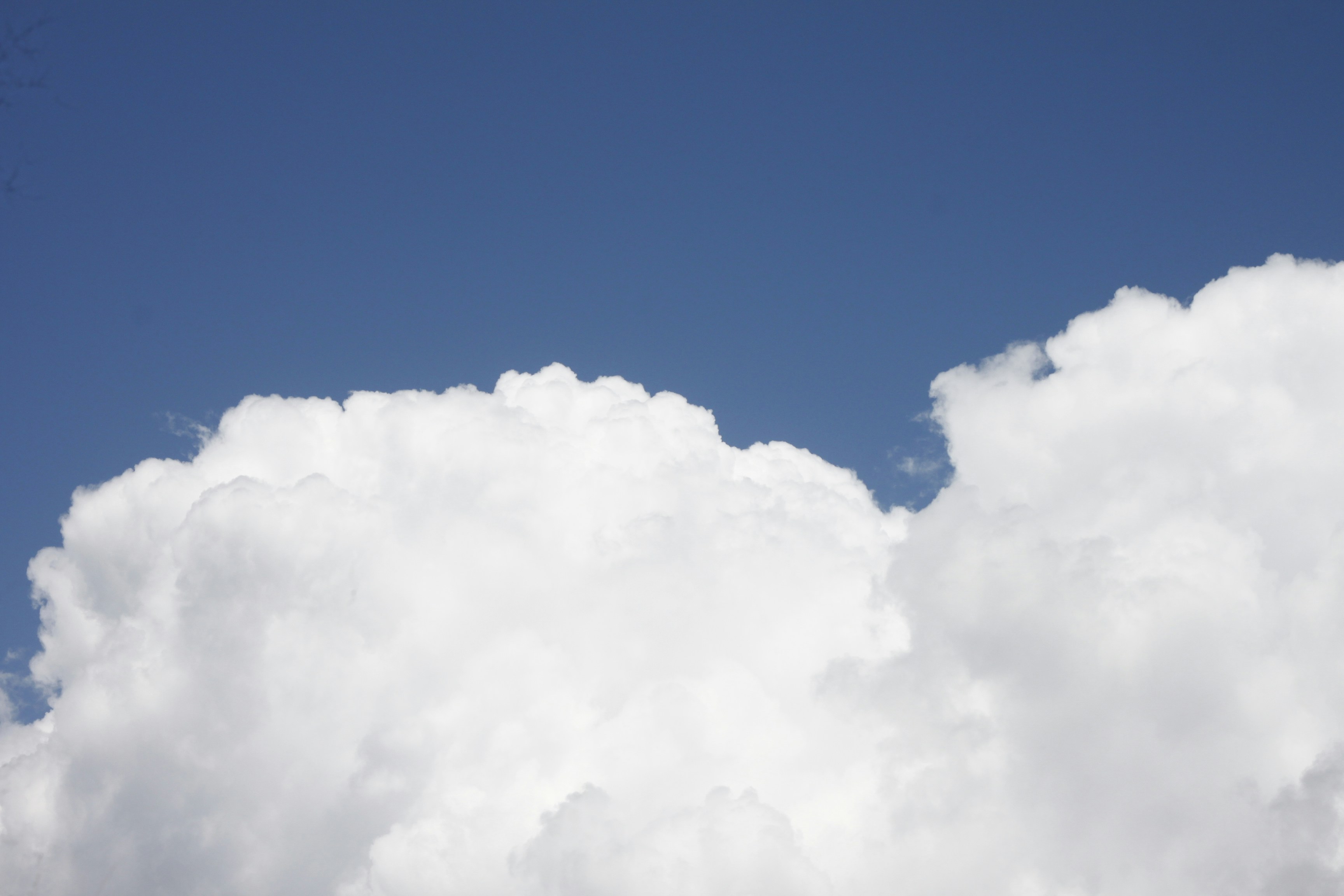 Photo by jtrinh_artwork