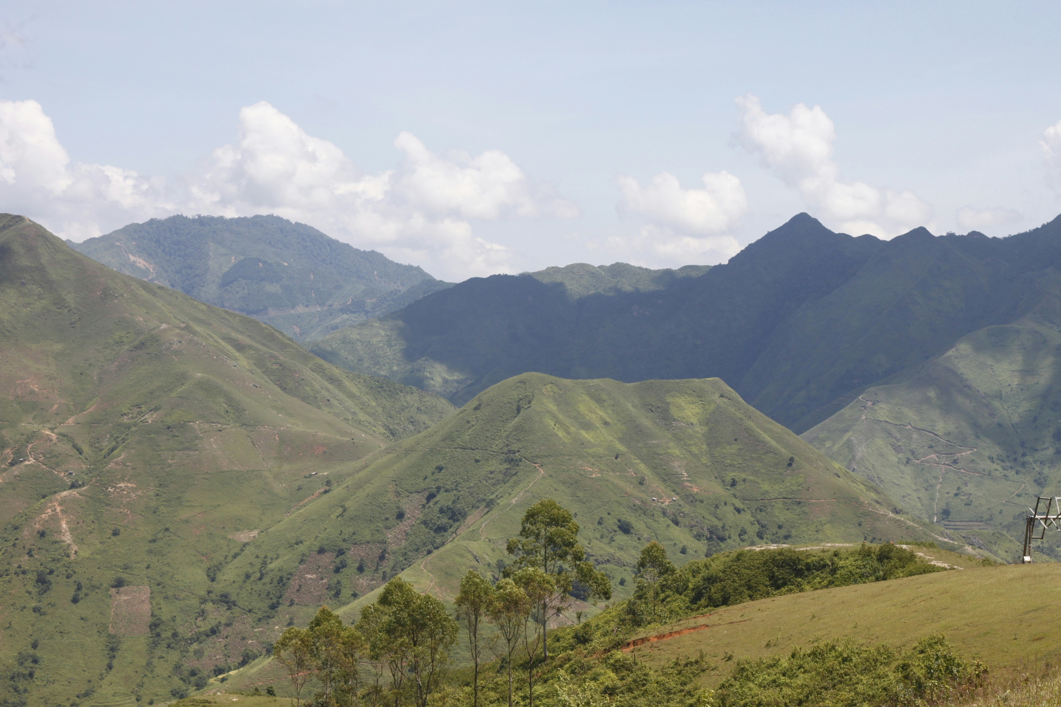 Photo by jtrinh_artwork