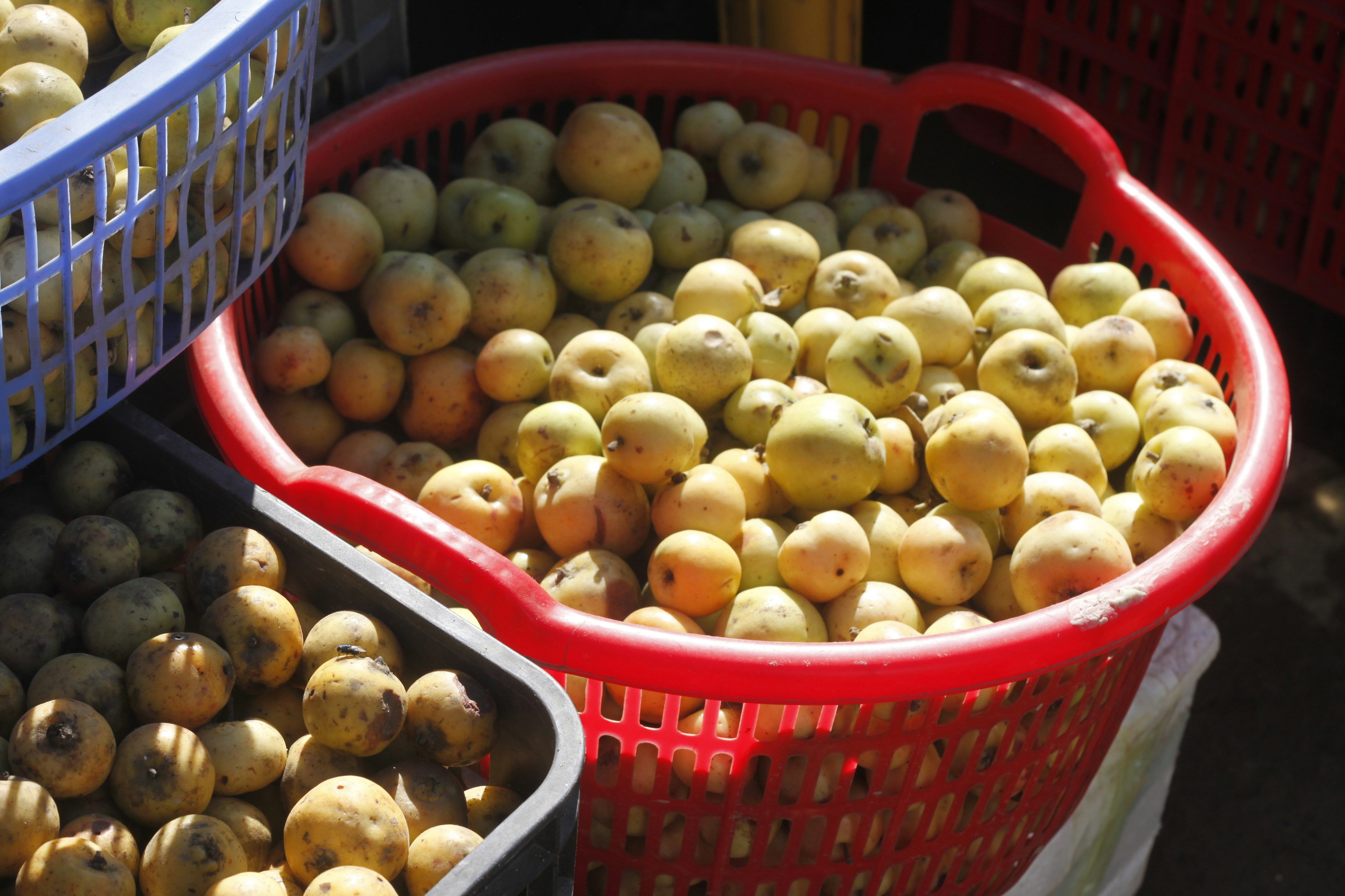 Photo by jtrinh_artwork