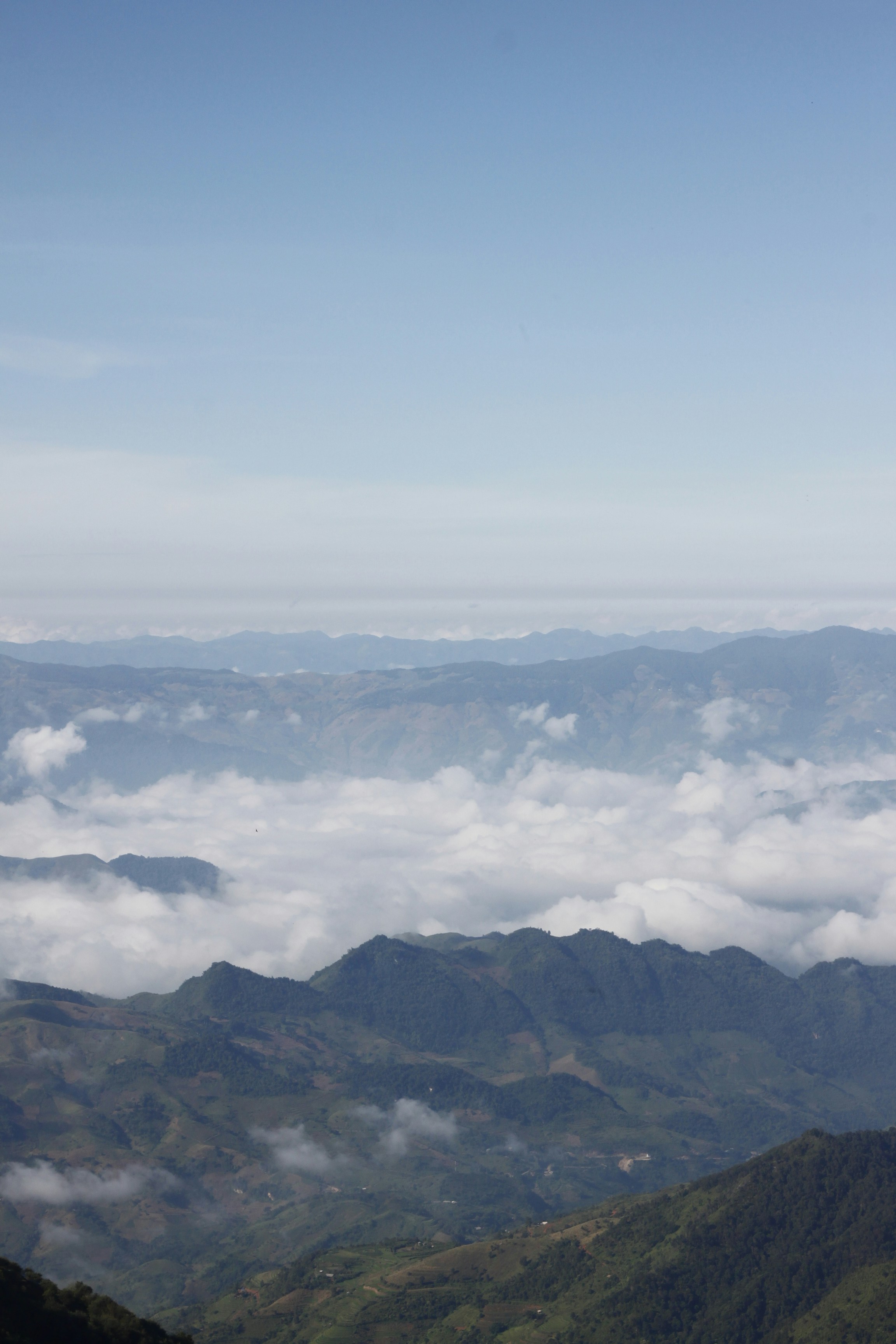 Photo by jtrinh_artwork