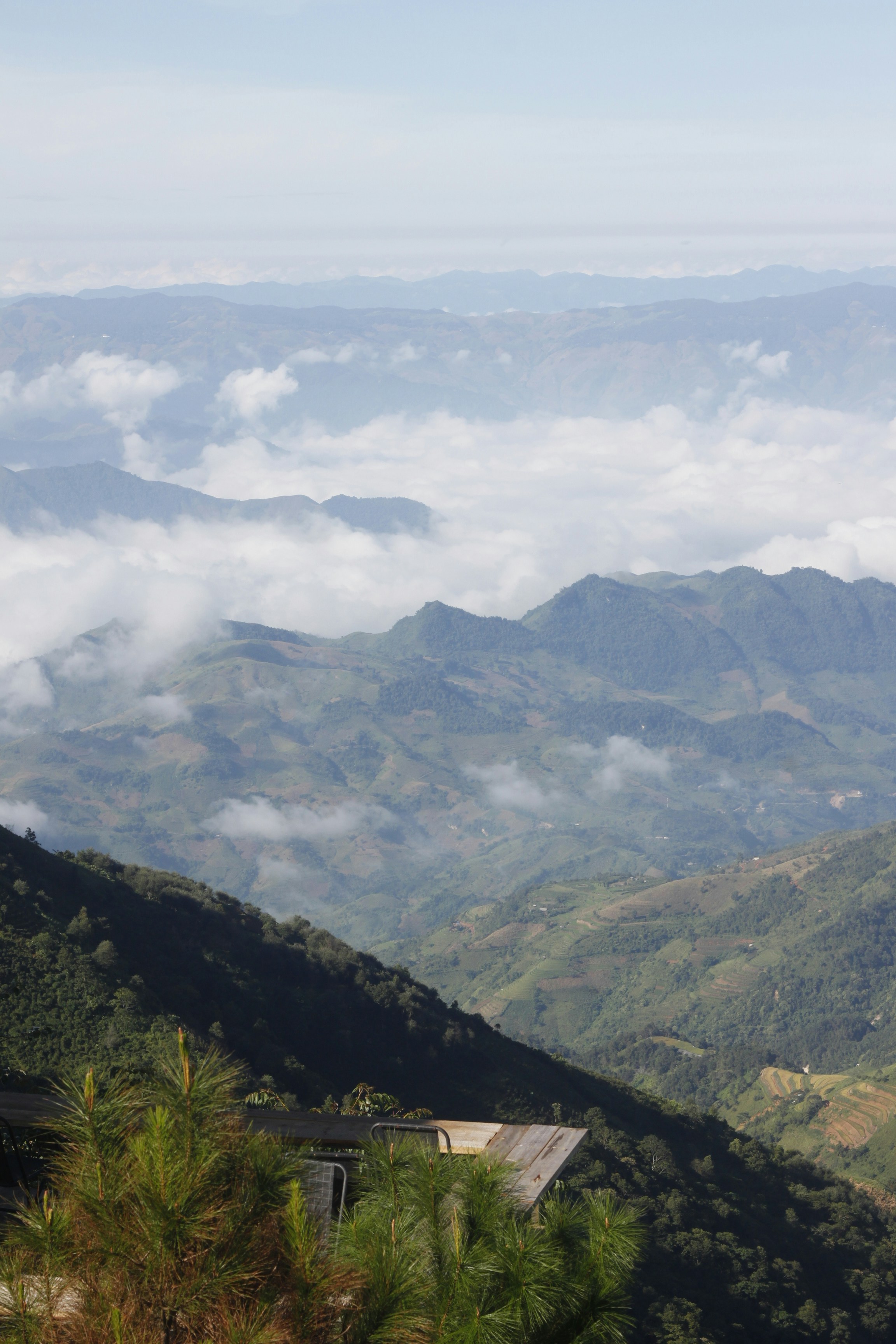 Photo by jtrinh_artwork