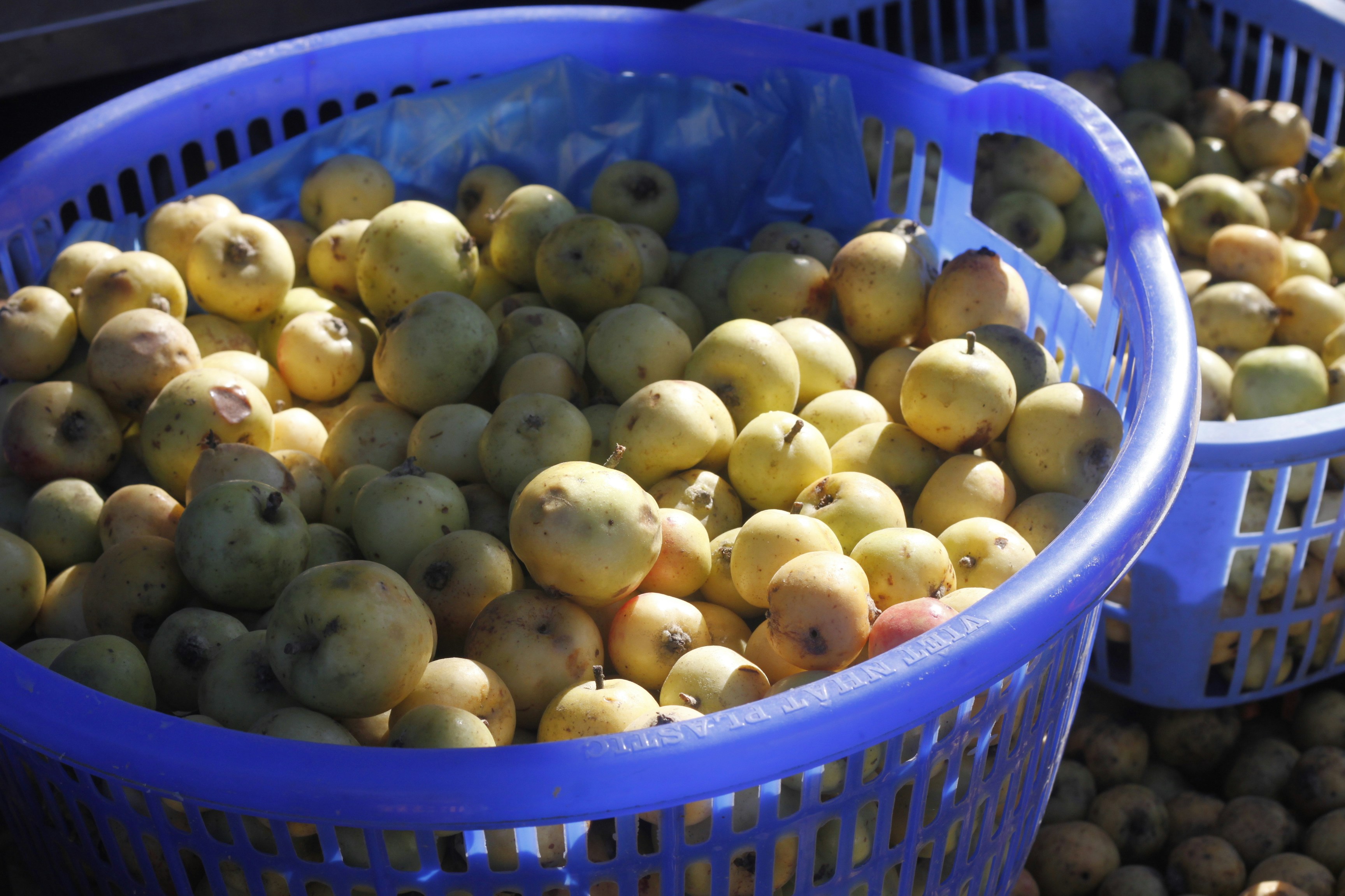 Photo by jtrinh_artwork