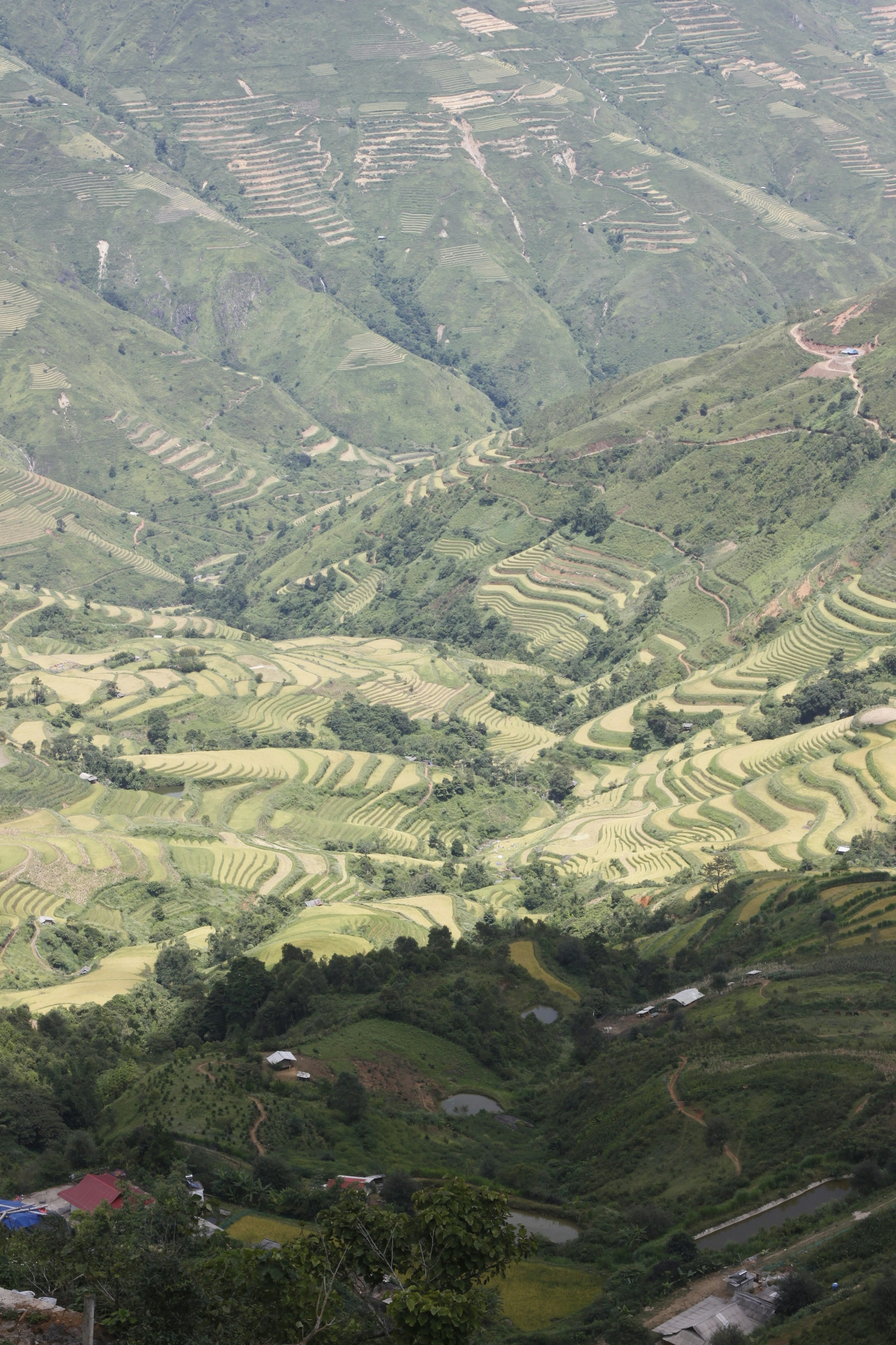 Photo by jtrinh_artwork