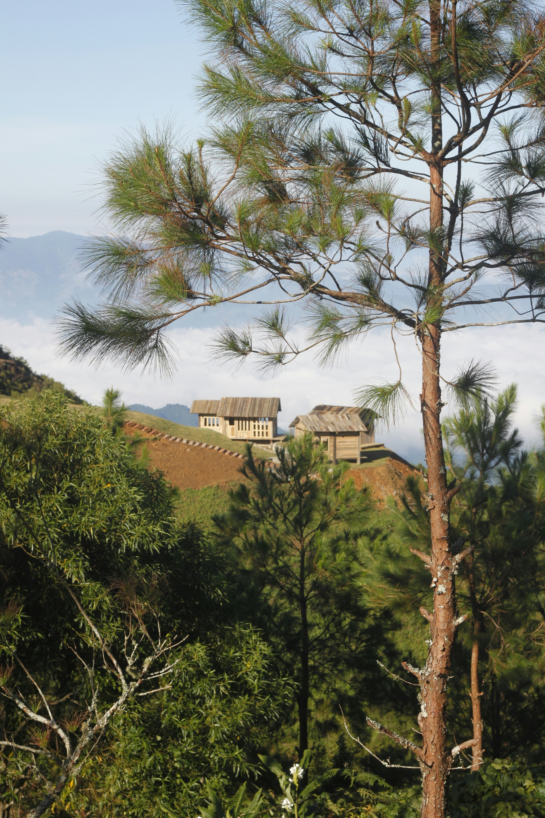 Thatched roof houses on a misty mountain slope.