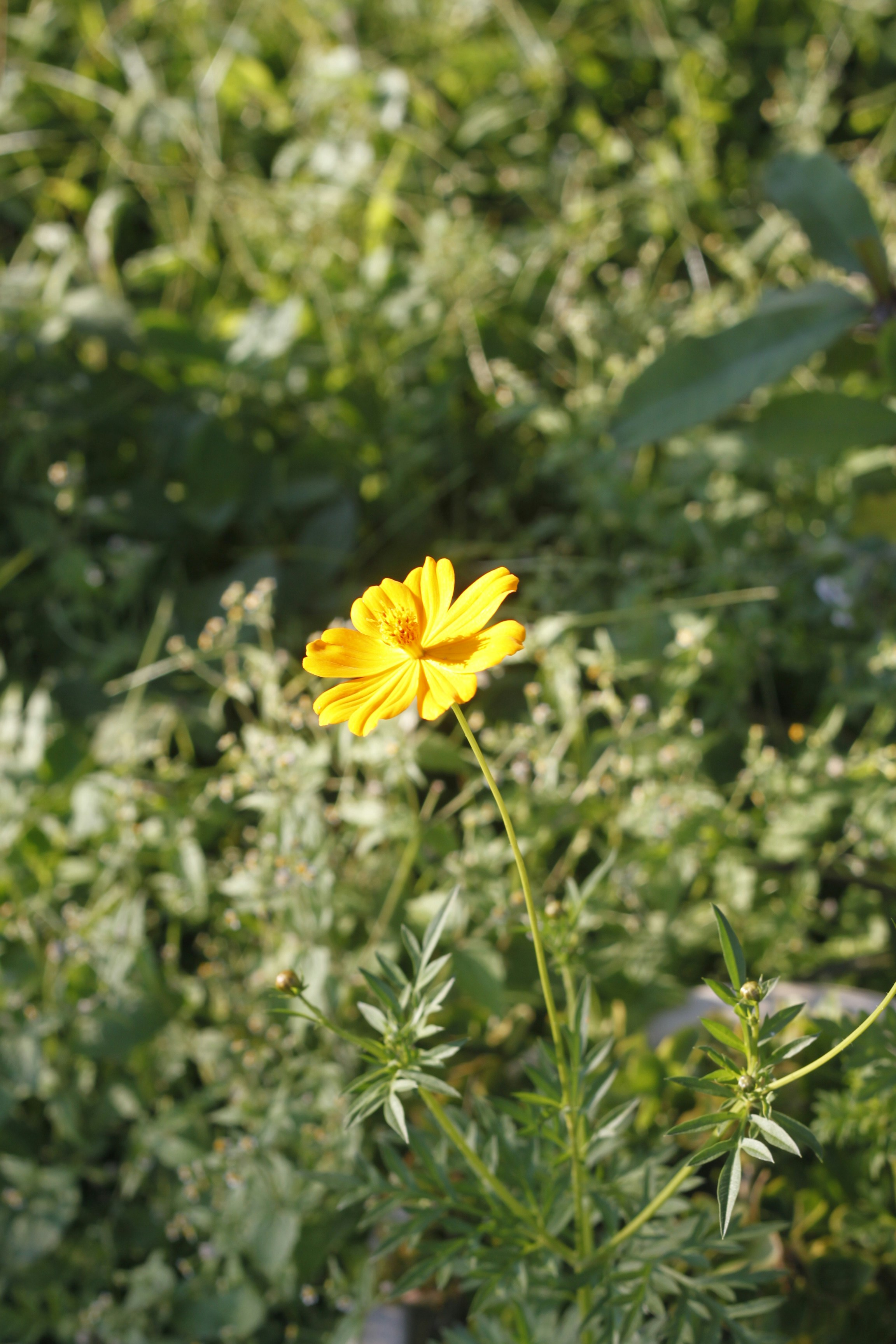 Photo by jtrinh_artwork