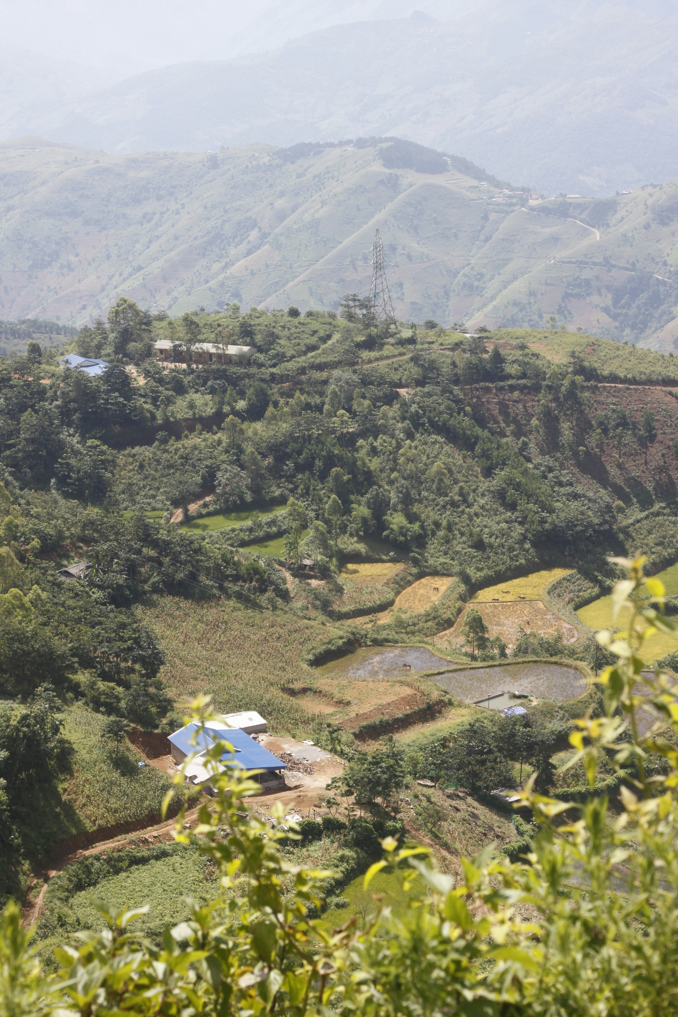 Photo by jtrinh_artwork