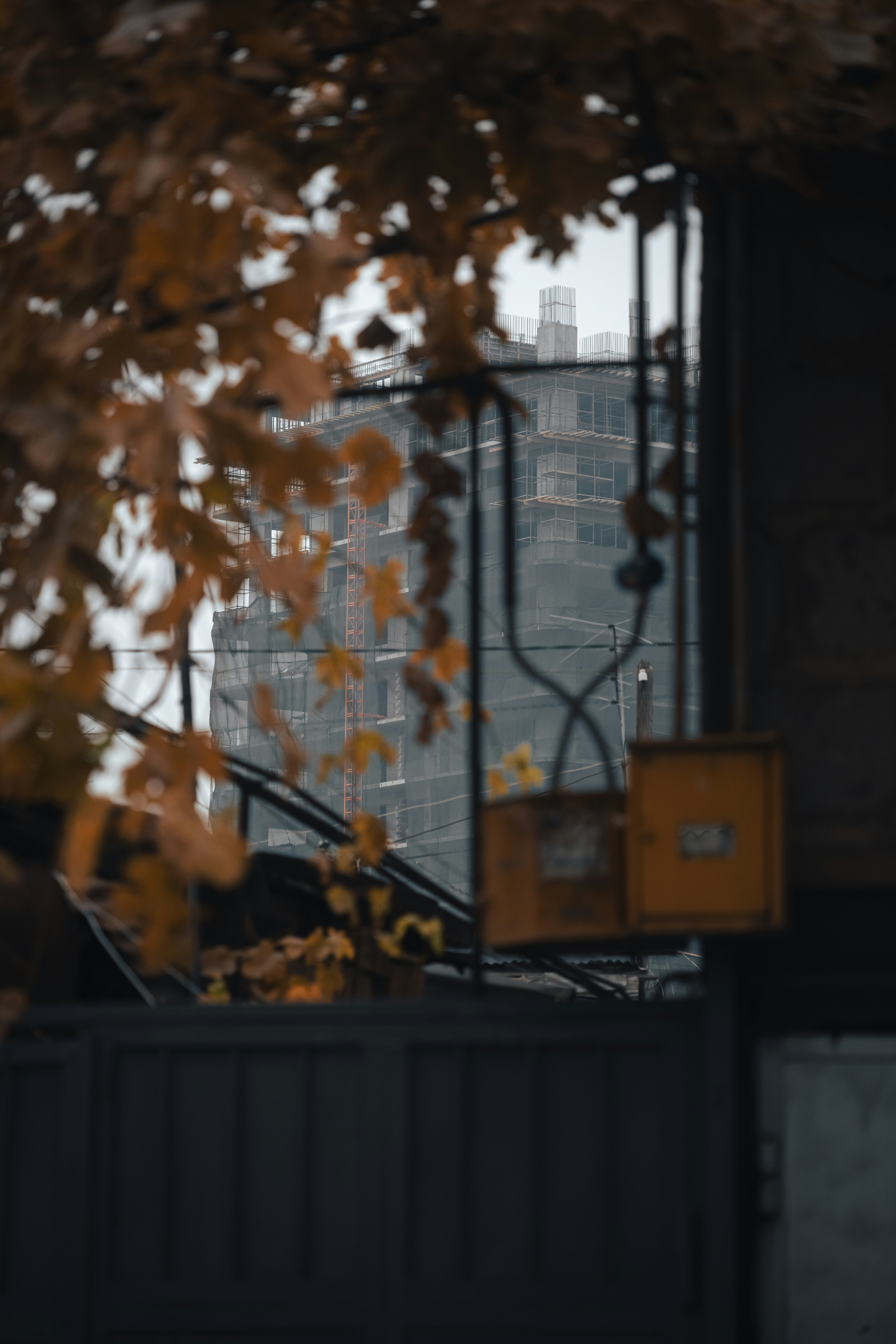 Photo by andreystrizhkov