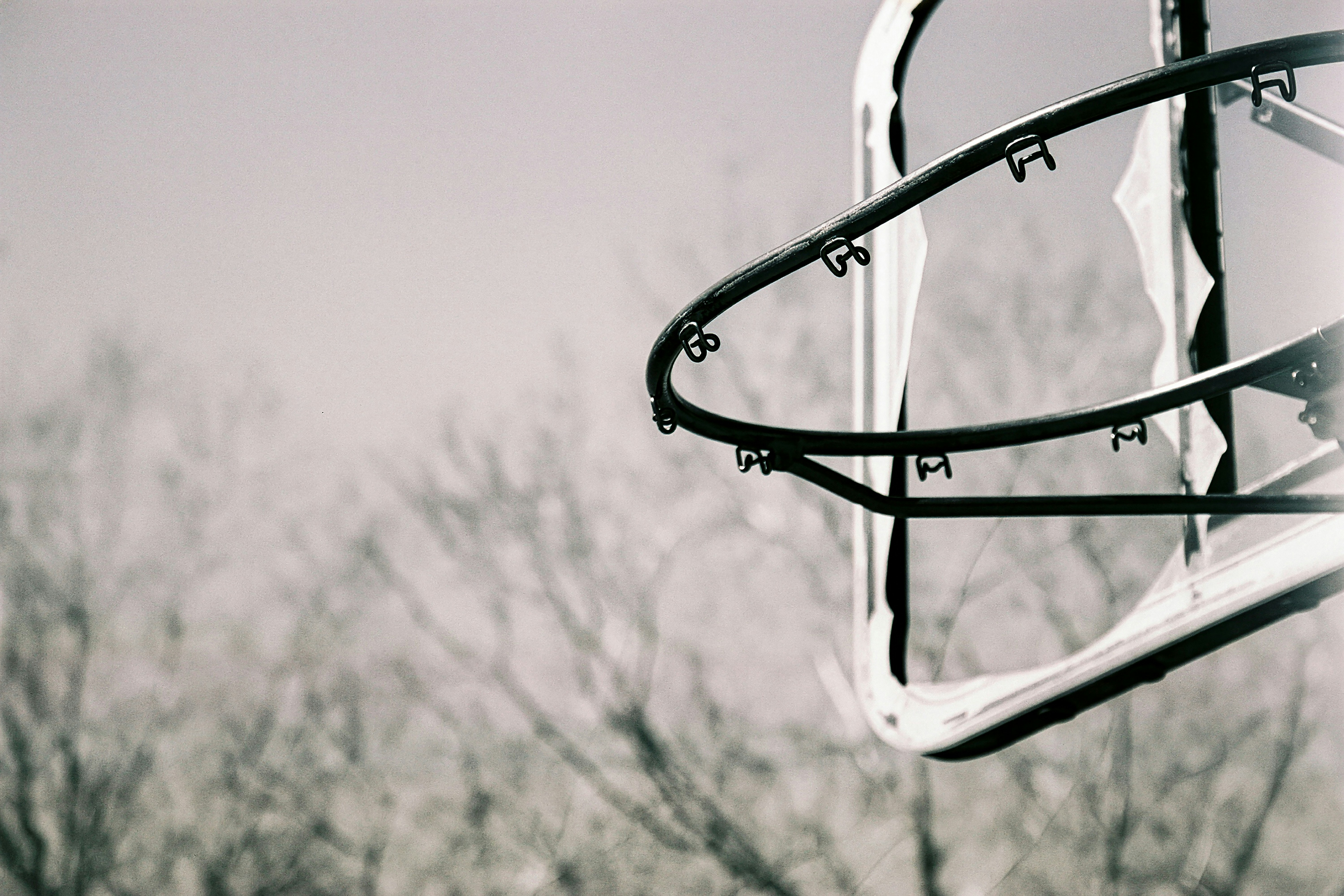 Close-up of a basketball hoop with bare trees