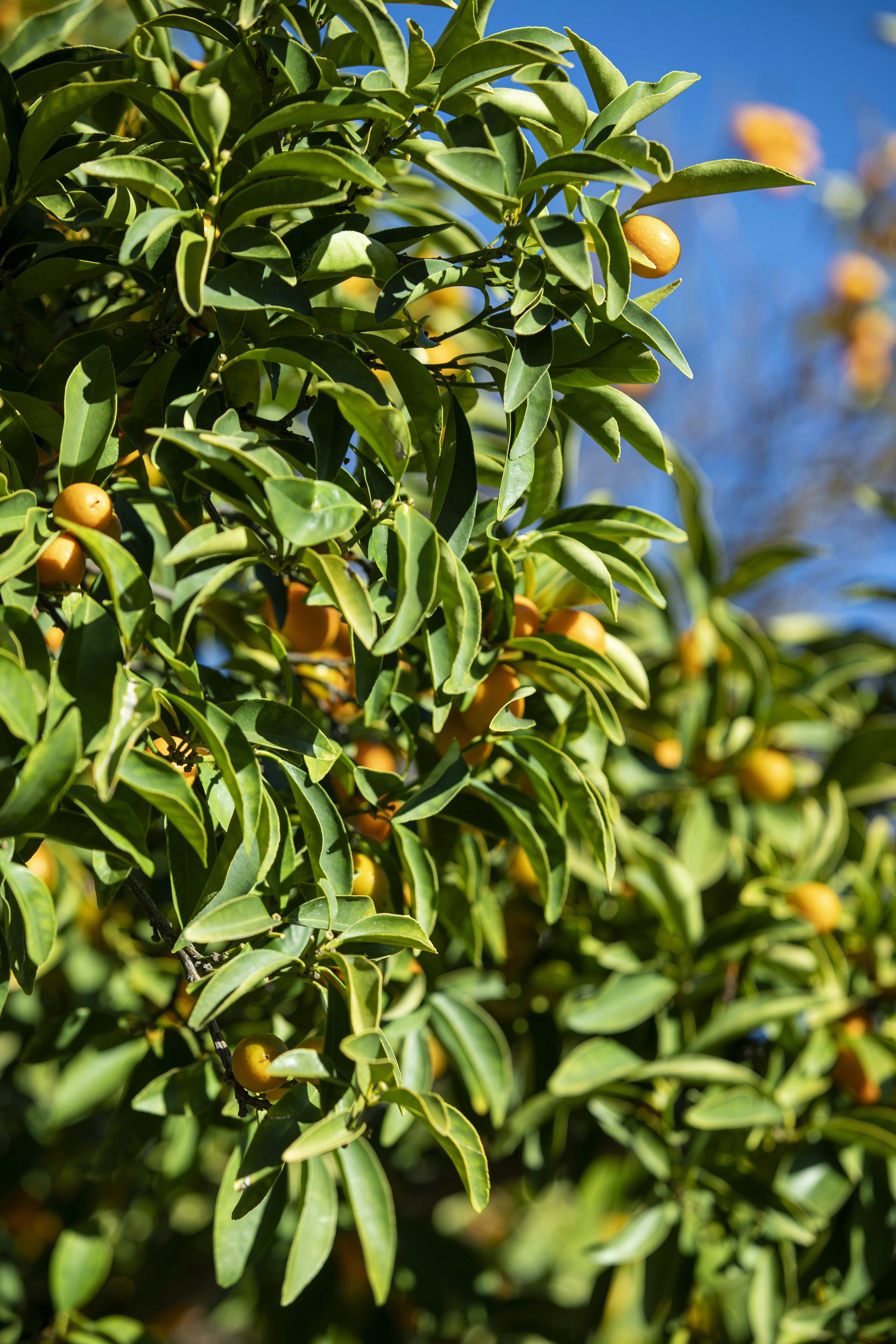 Photo by nathanmsdesigns