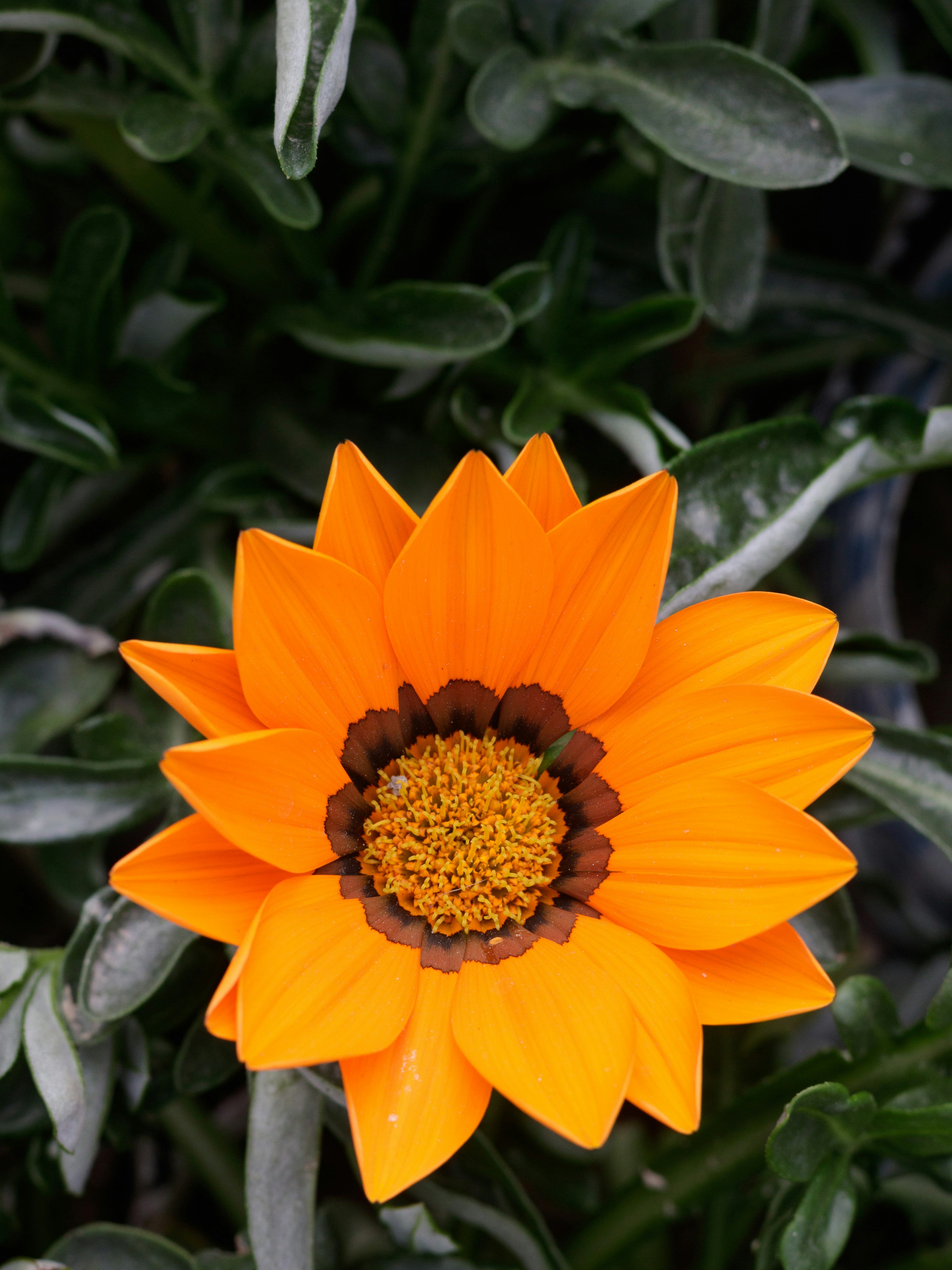 Photo by 5milliseconds