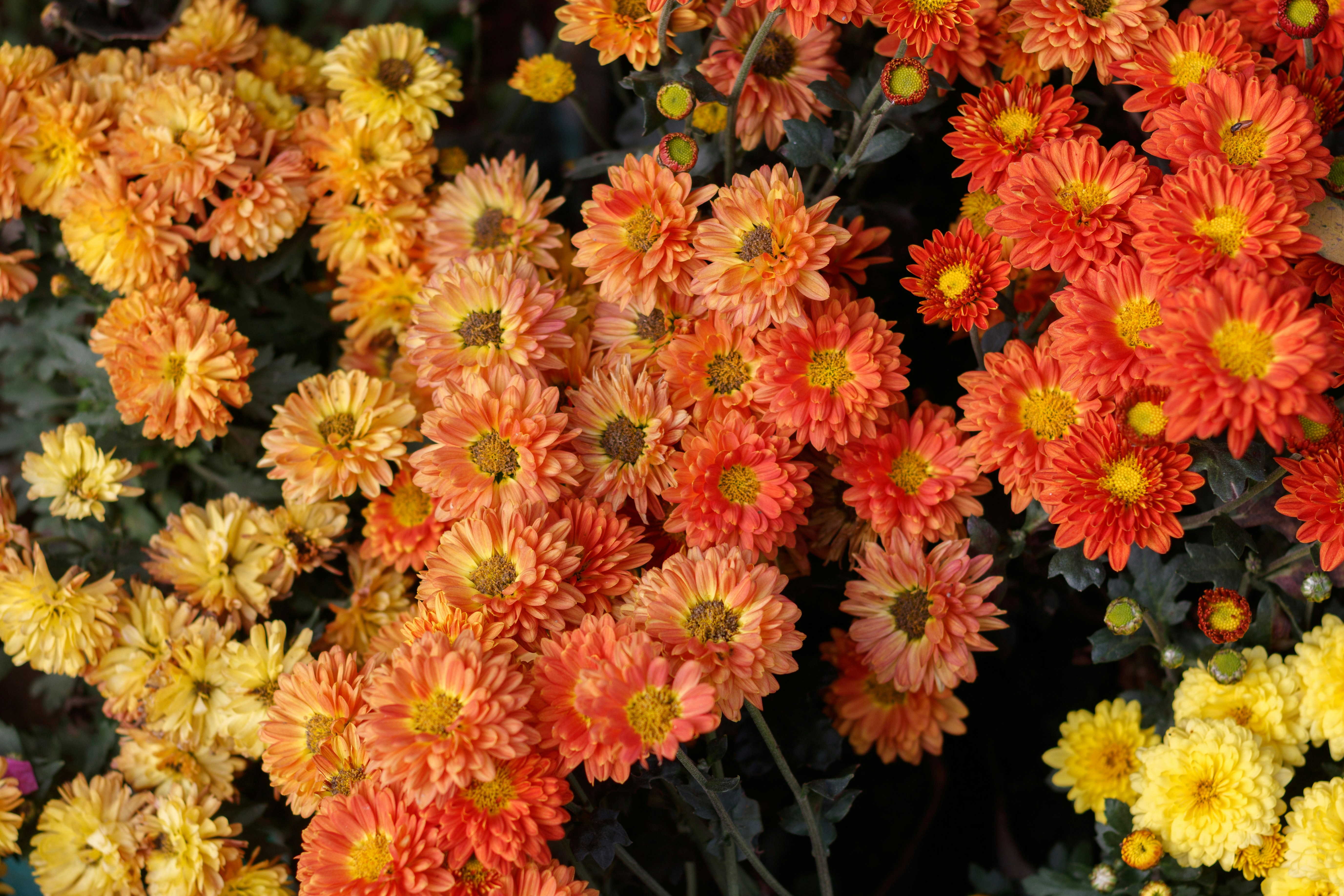 Photo by 5milliseconds