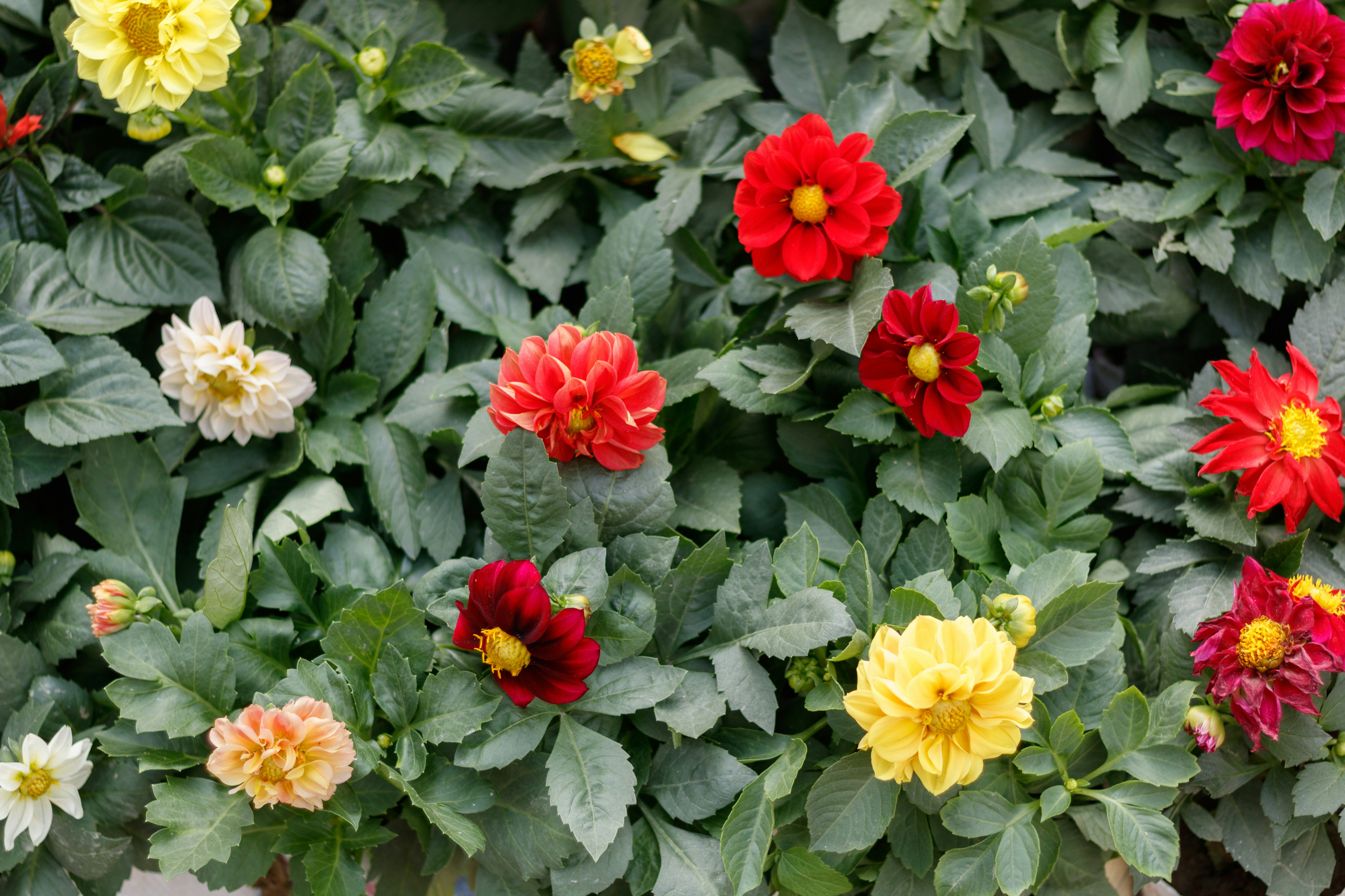 Photo by 5milliseconds