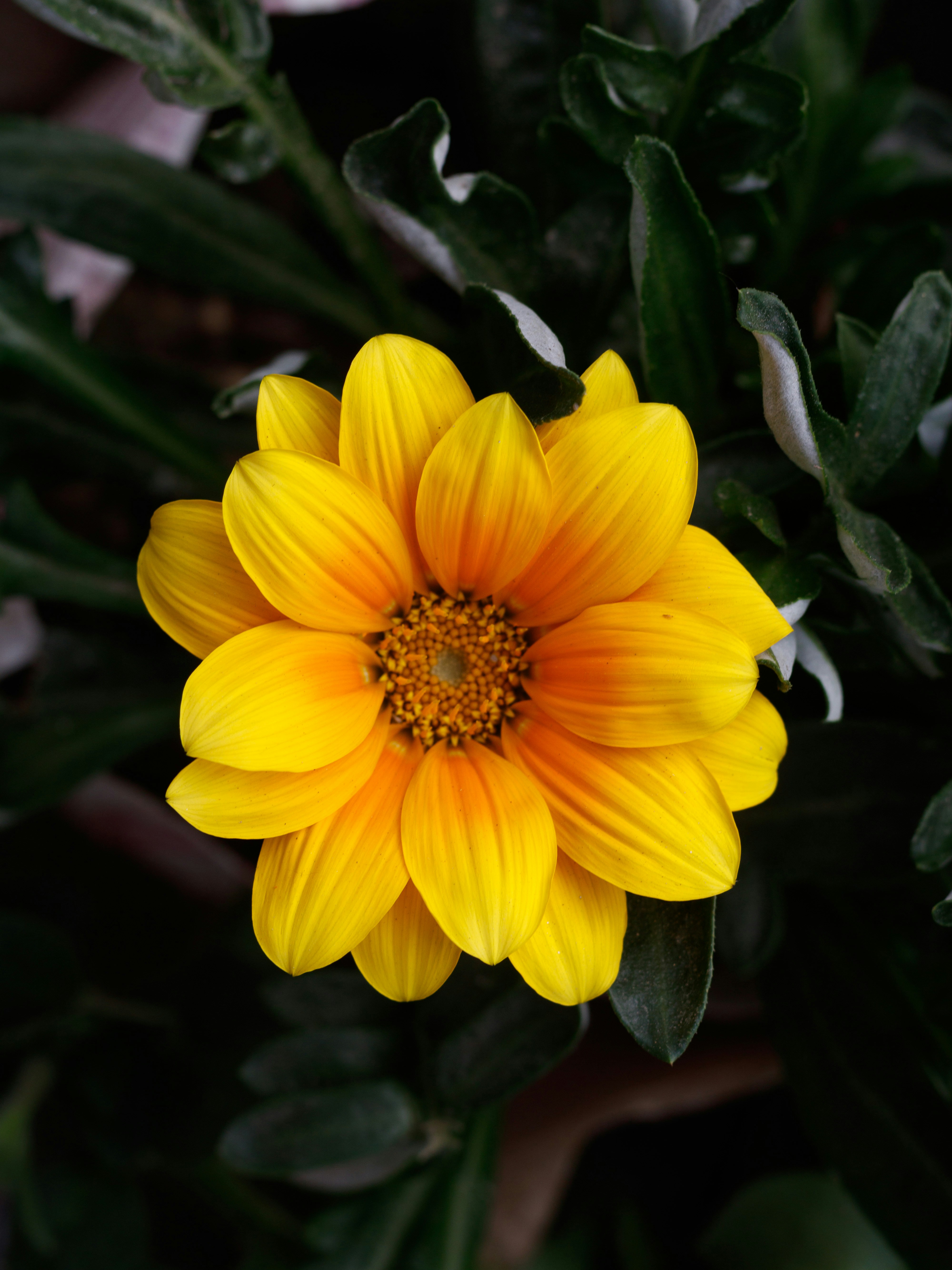 Photo by 5milliseconds